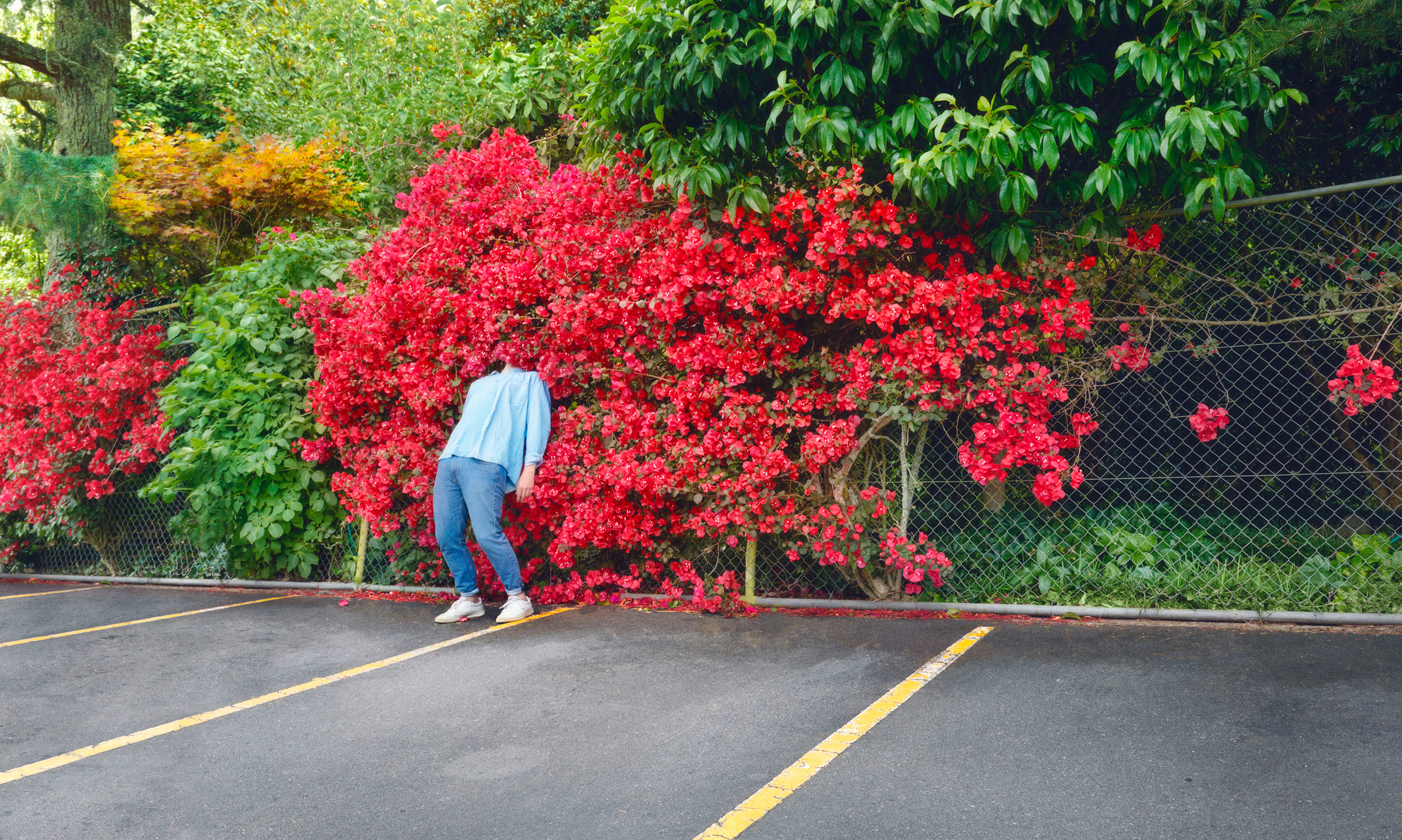 Kai-Uwe Gundlach - the smell of spring – Hornbach