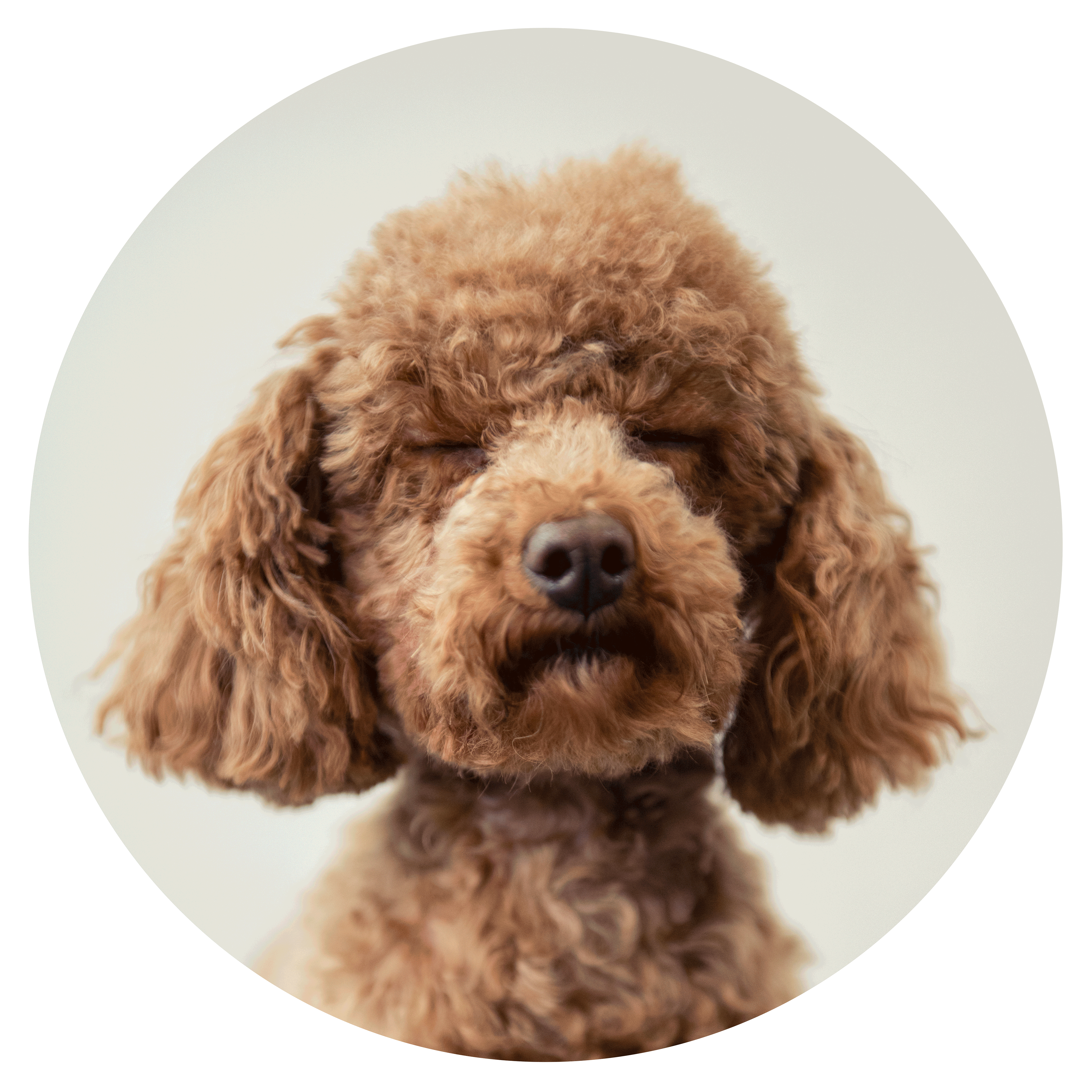 Kai-Uwe Gundlach - Elly