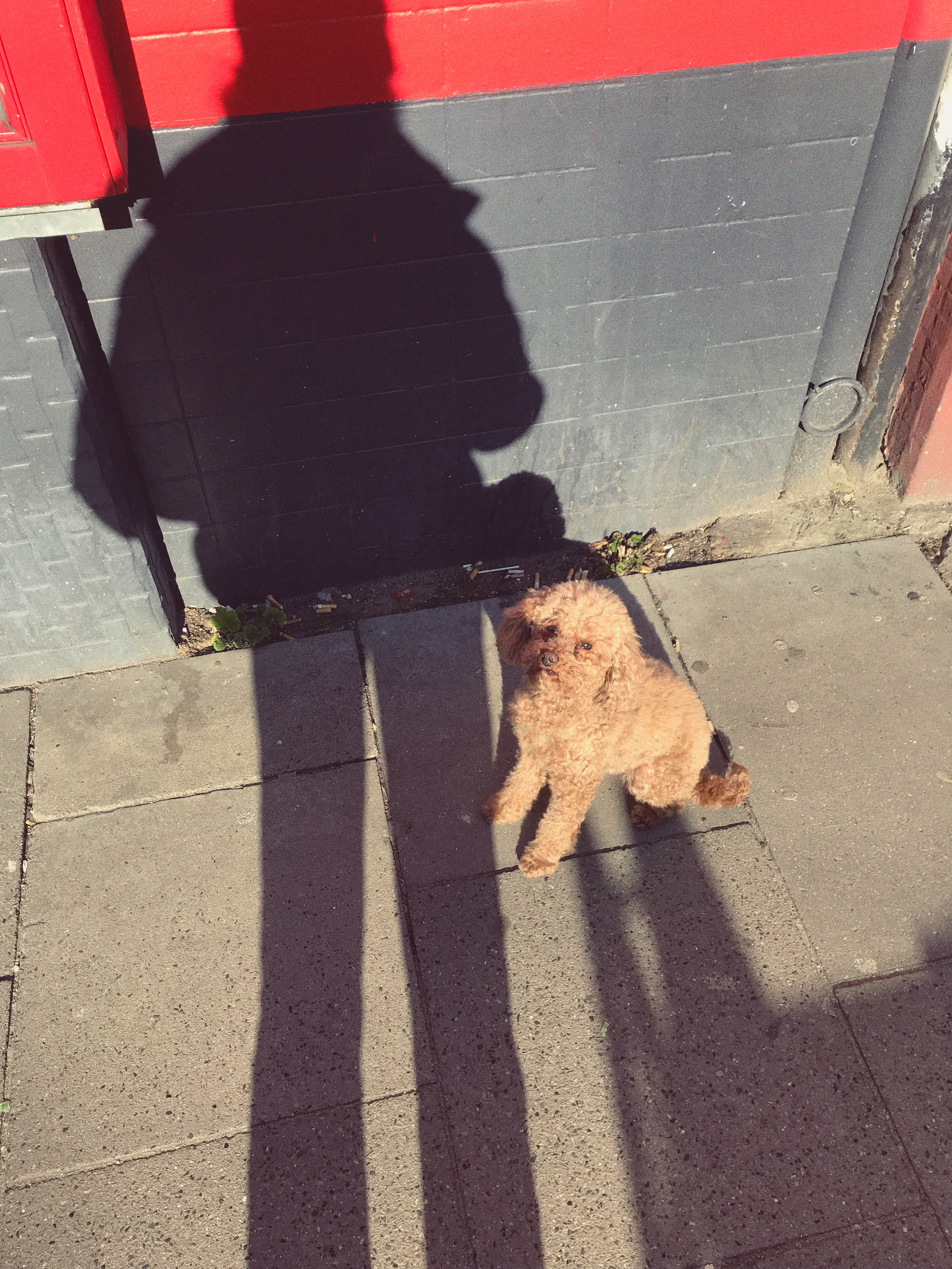 Kai-Uwe Gundlach - Elly