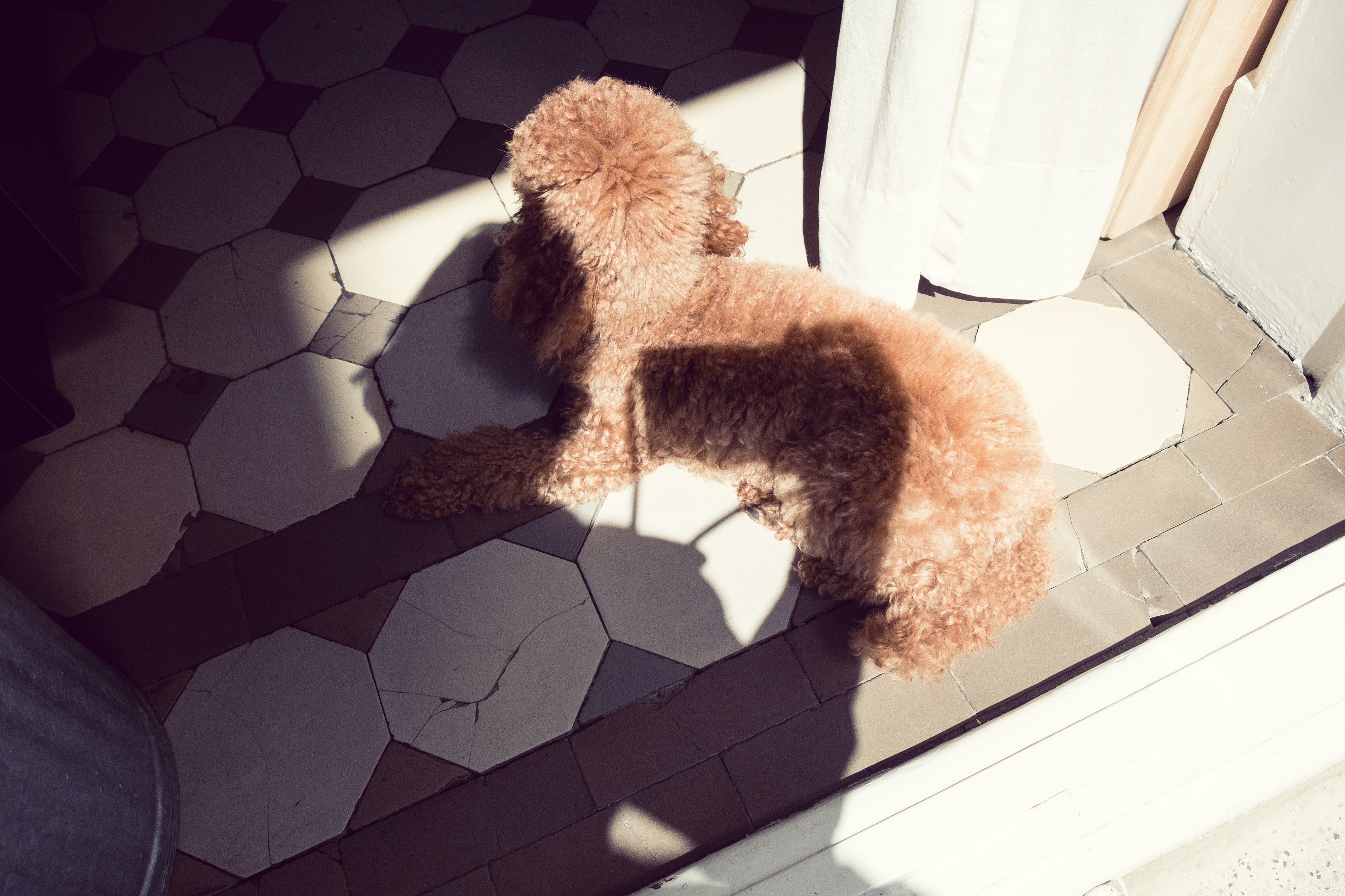 Kai-Uwe Gundlach - Elly