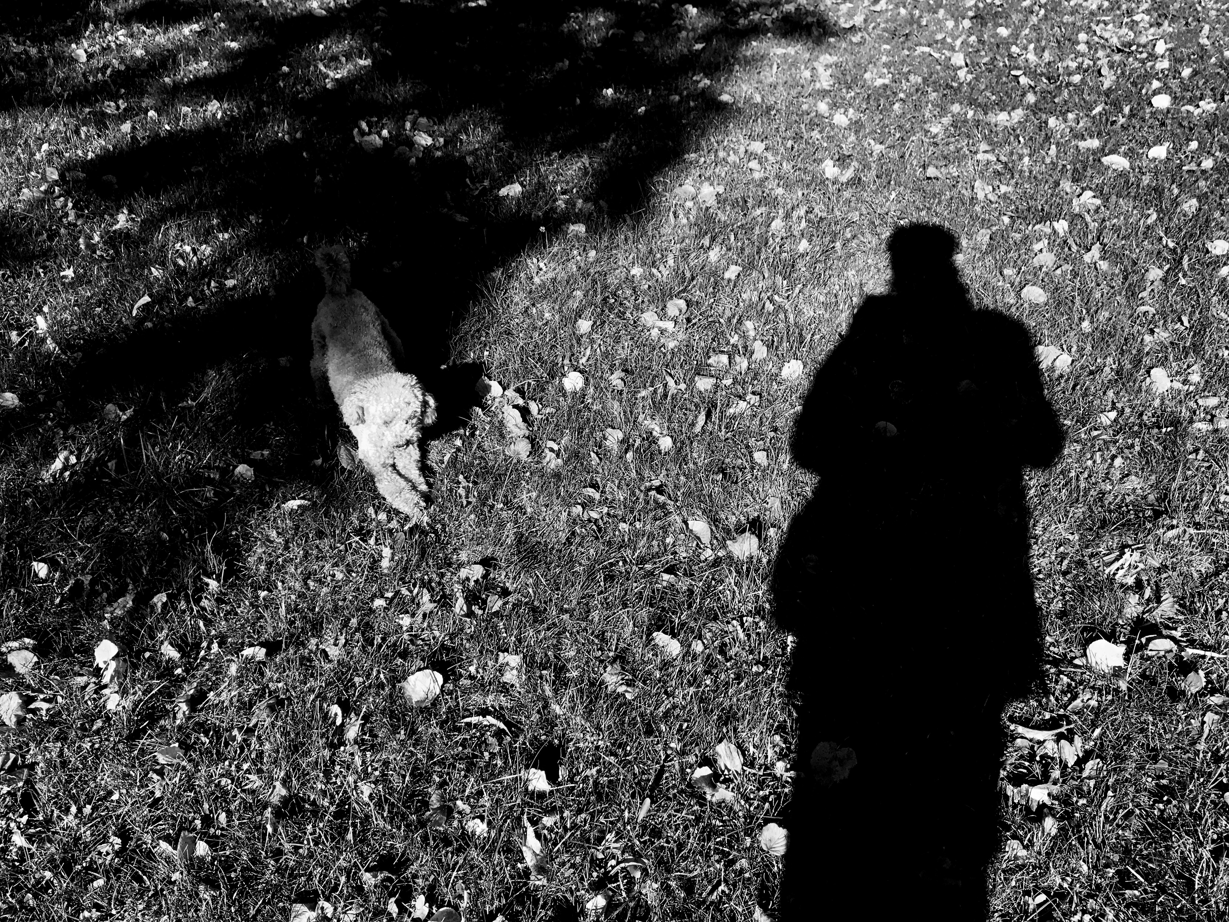 Kai-Uwe Gundlach - Elly