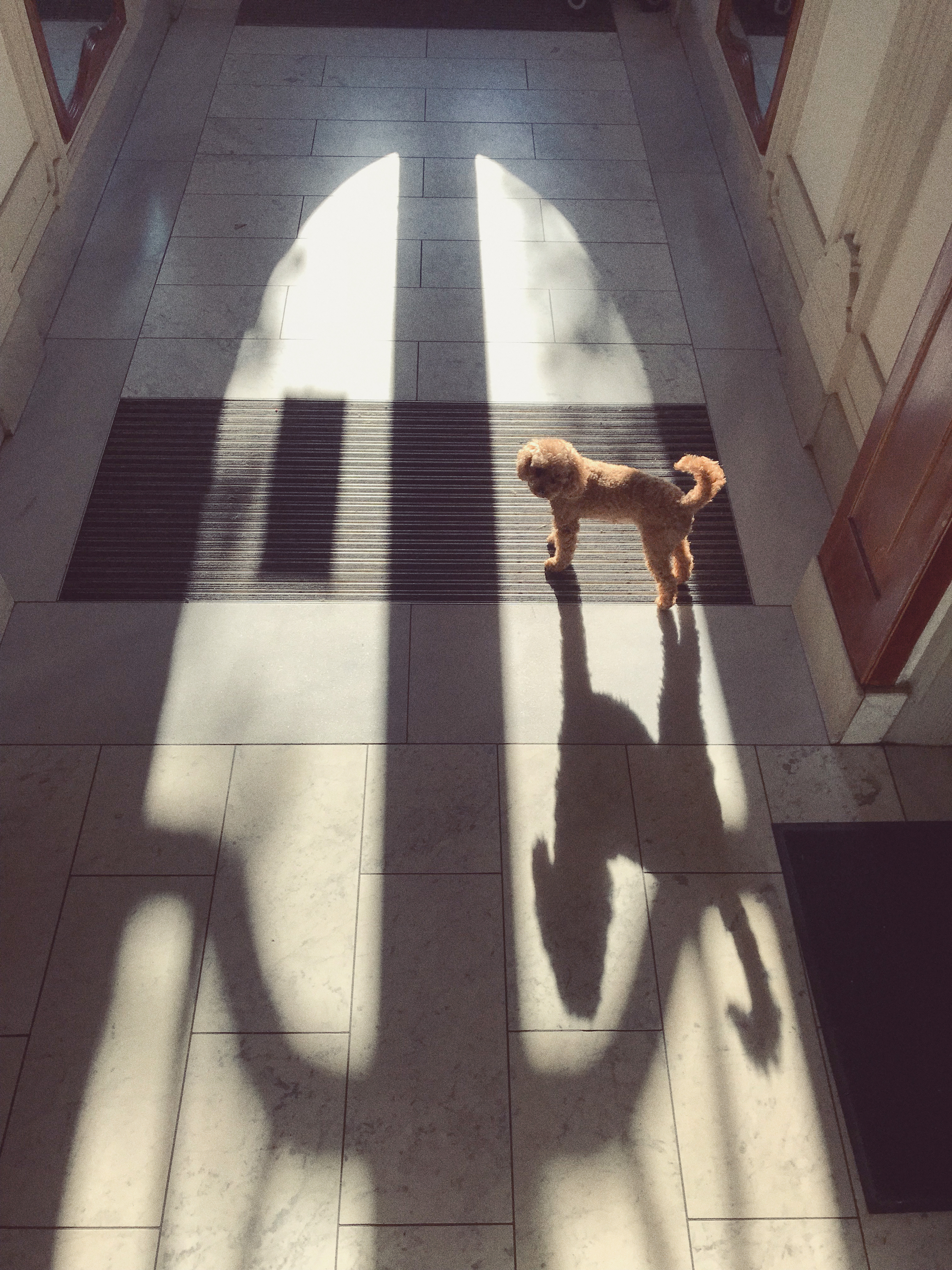 Kai-Uwe Gundlach - Elly