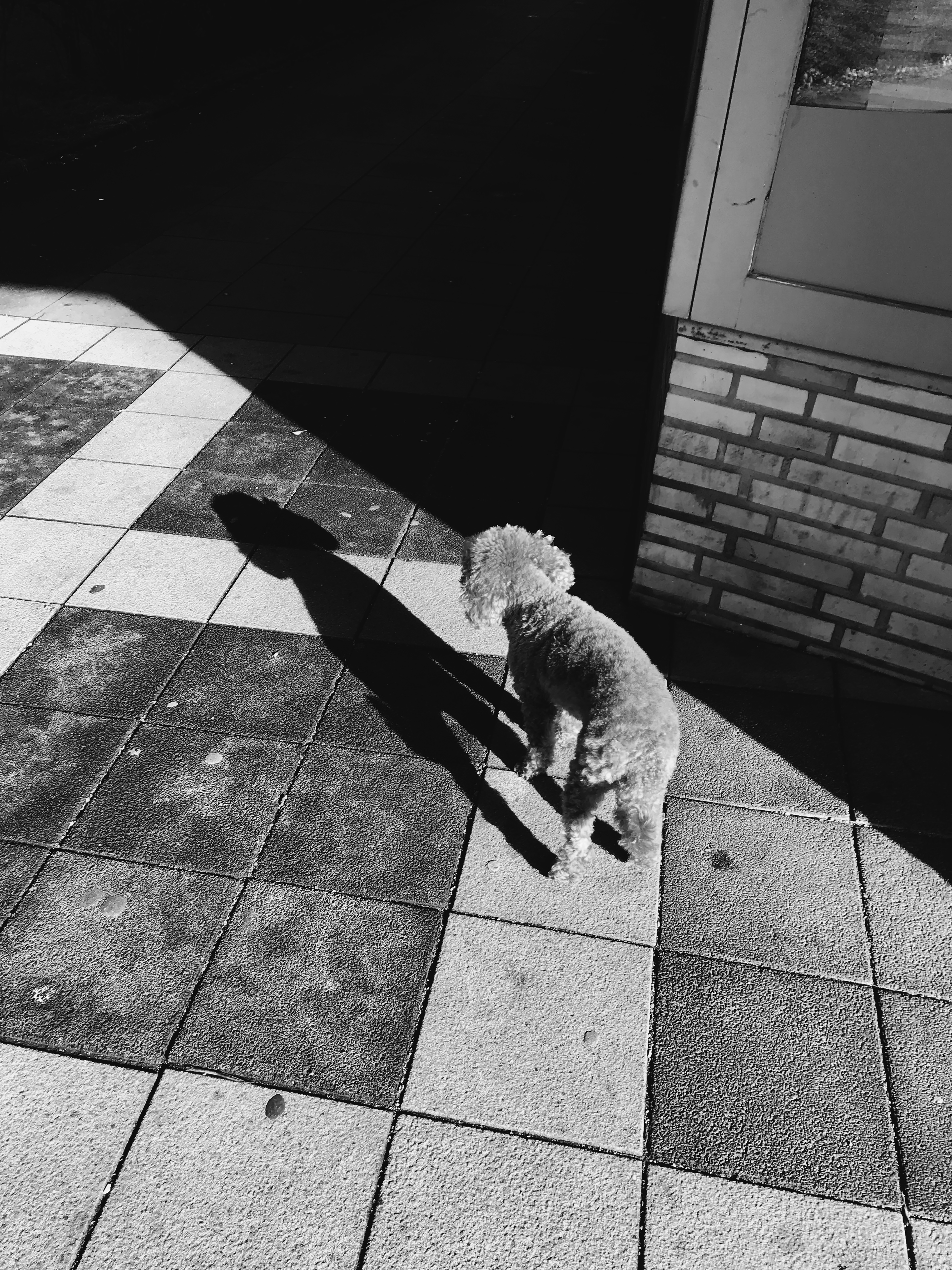 Kai-Uwe Gundlach - Elly