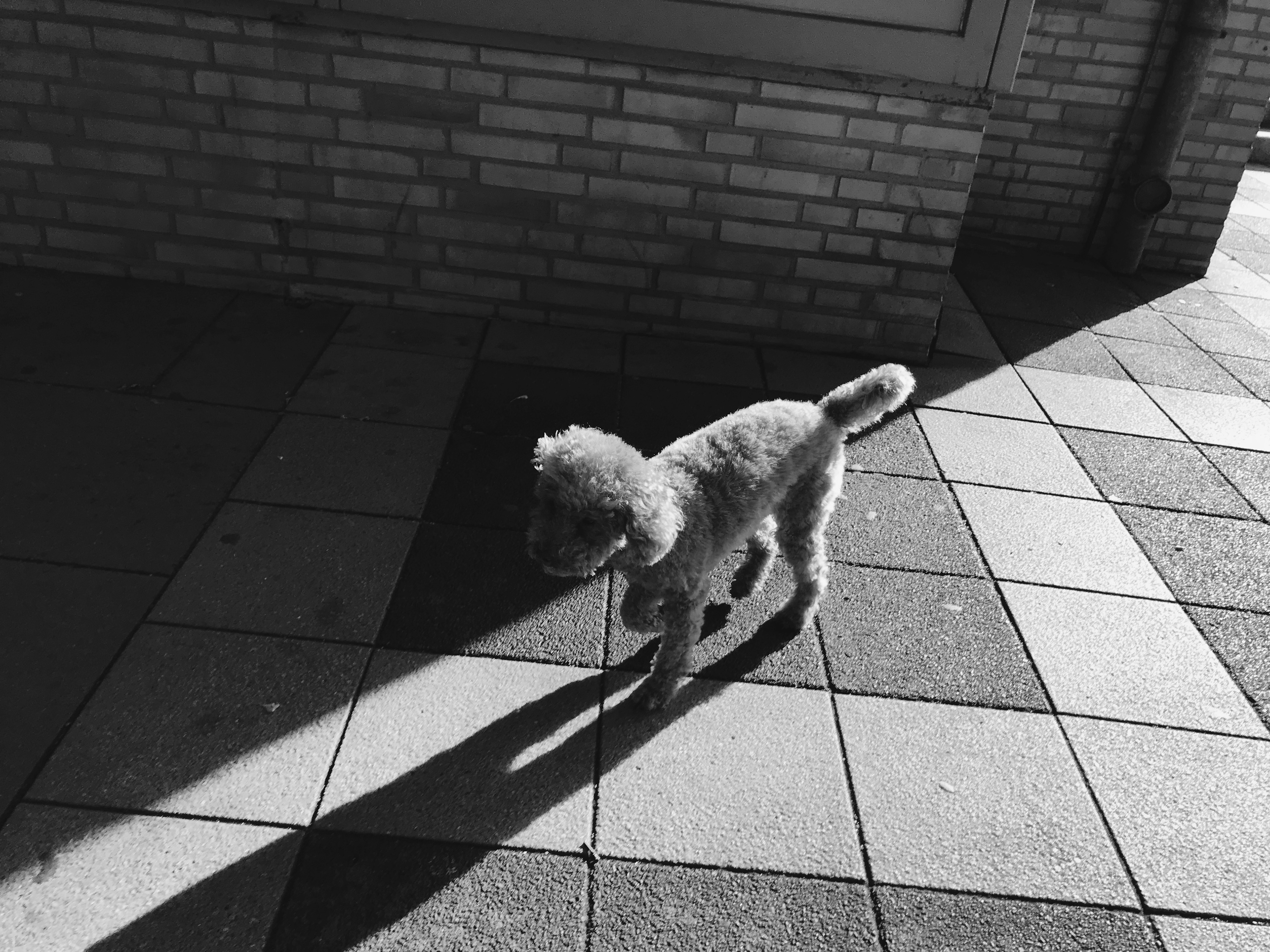 Kai-Uwe Gundlach - Elly