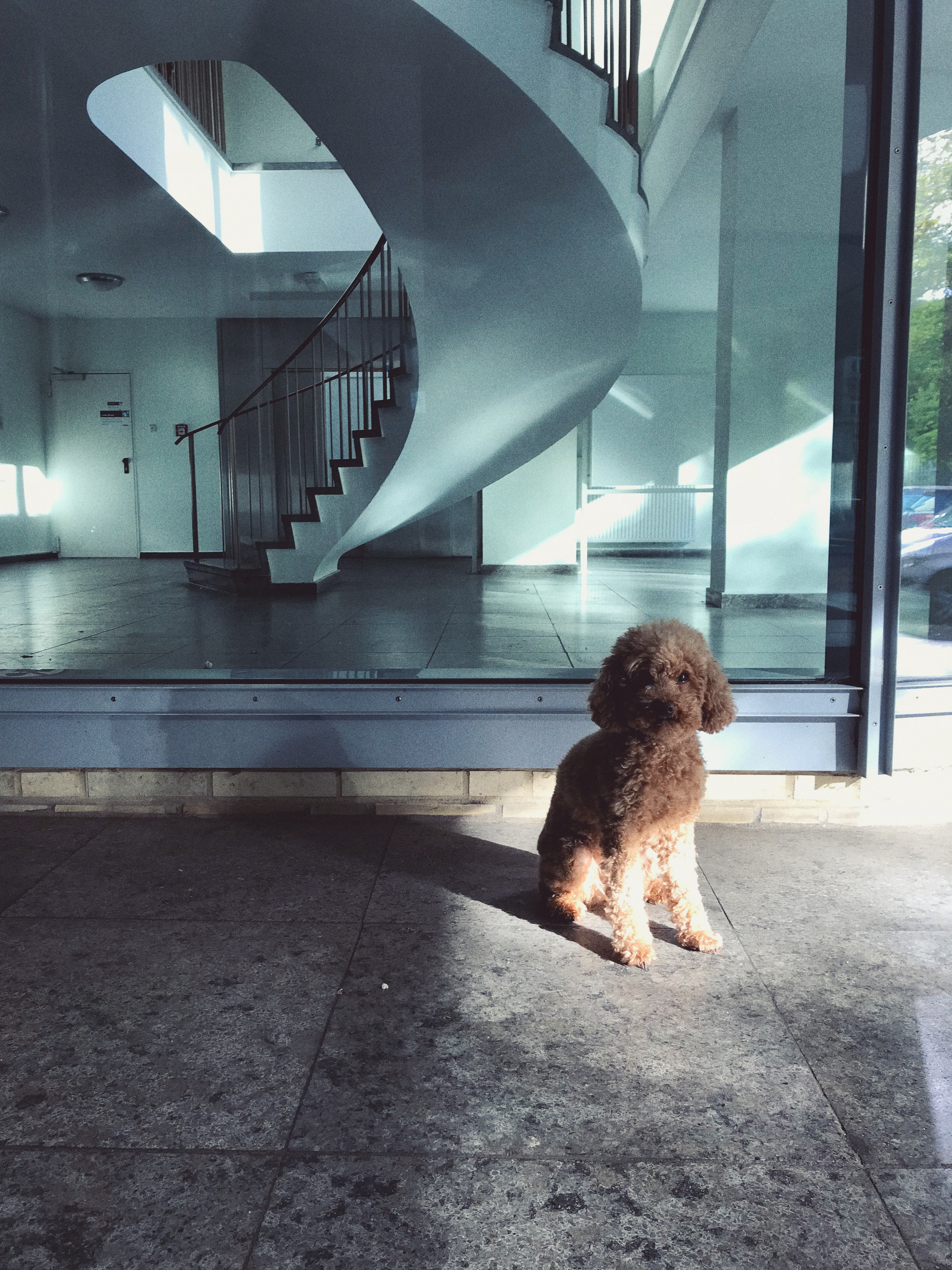 Kai-Uwe Gundlach - Elly