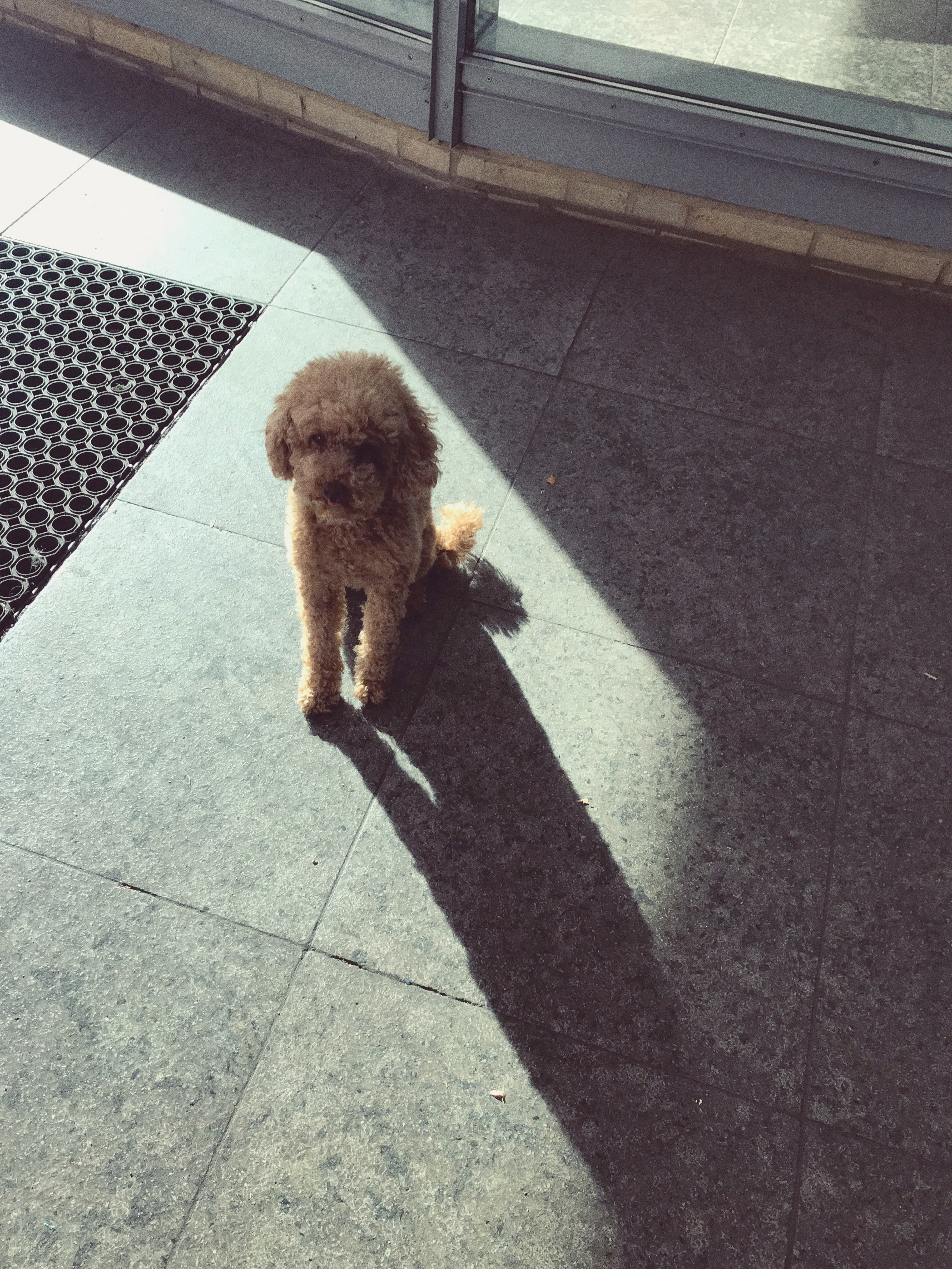 Kai-Uwe Gundlach - Elly