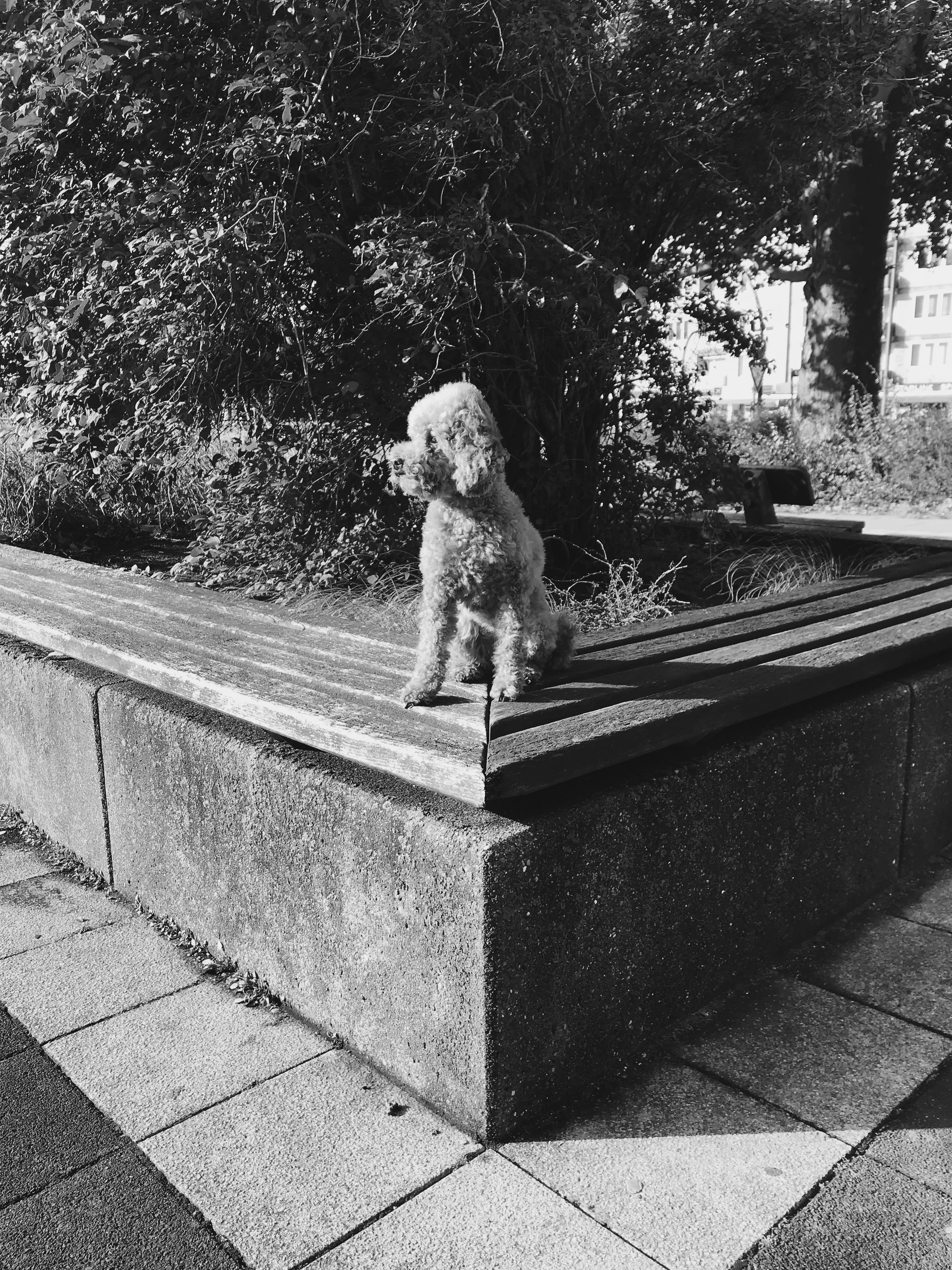 Kai-Uwe Gundlach - Elly