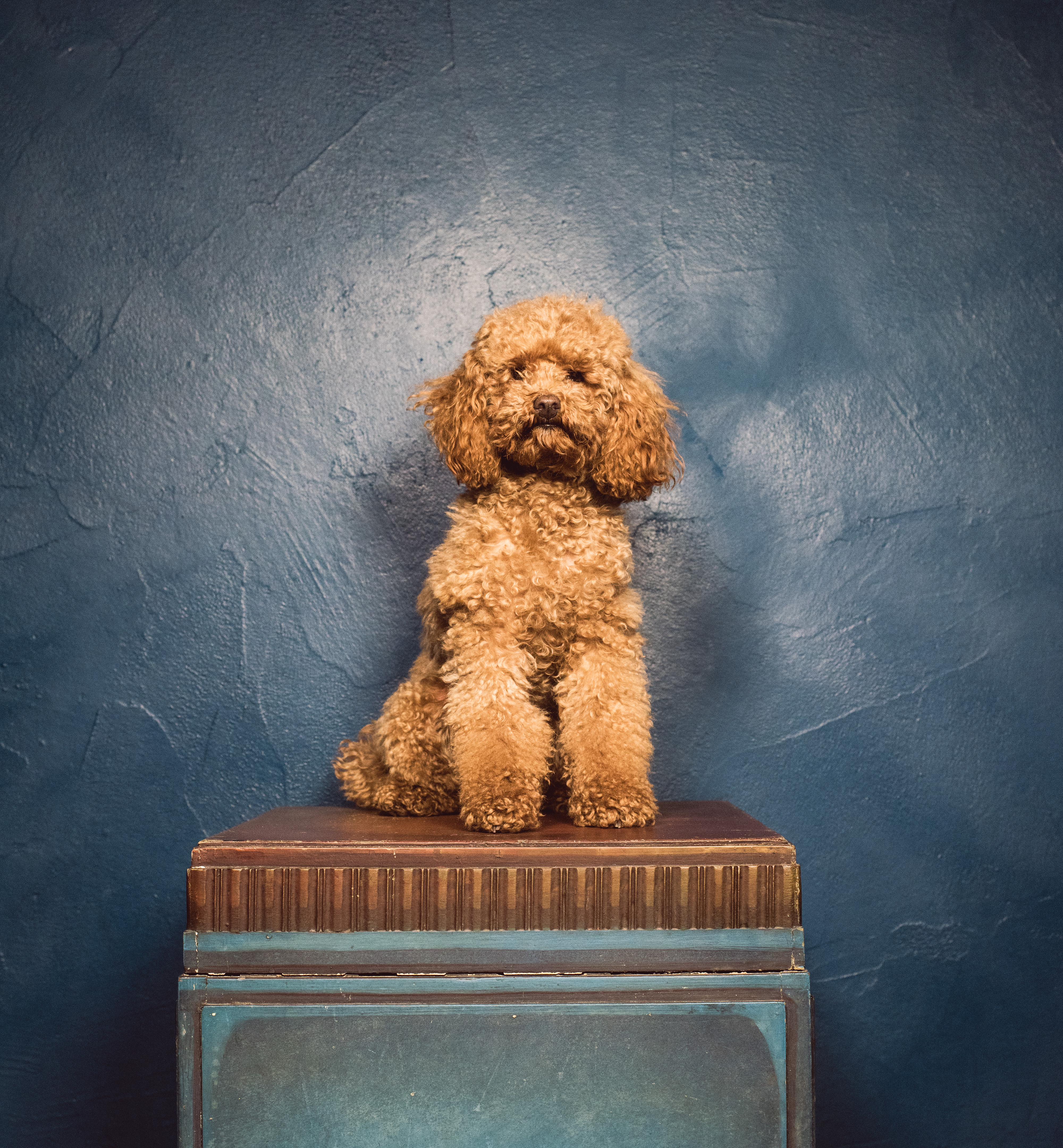 Kai-Uwe Gundlach - Elly