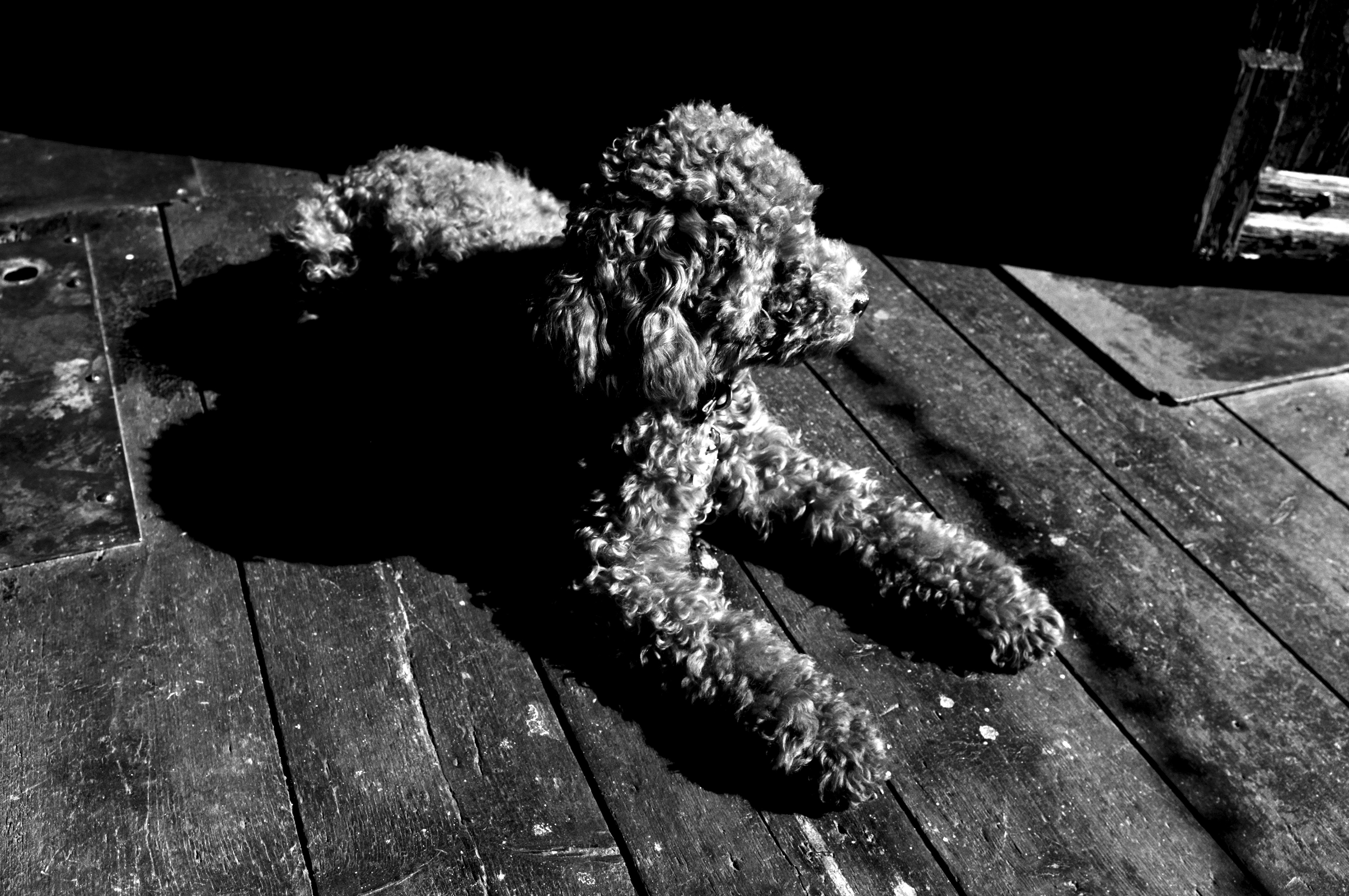 Kai-Uwe Gundlach - Elly