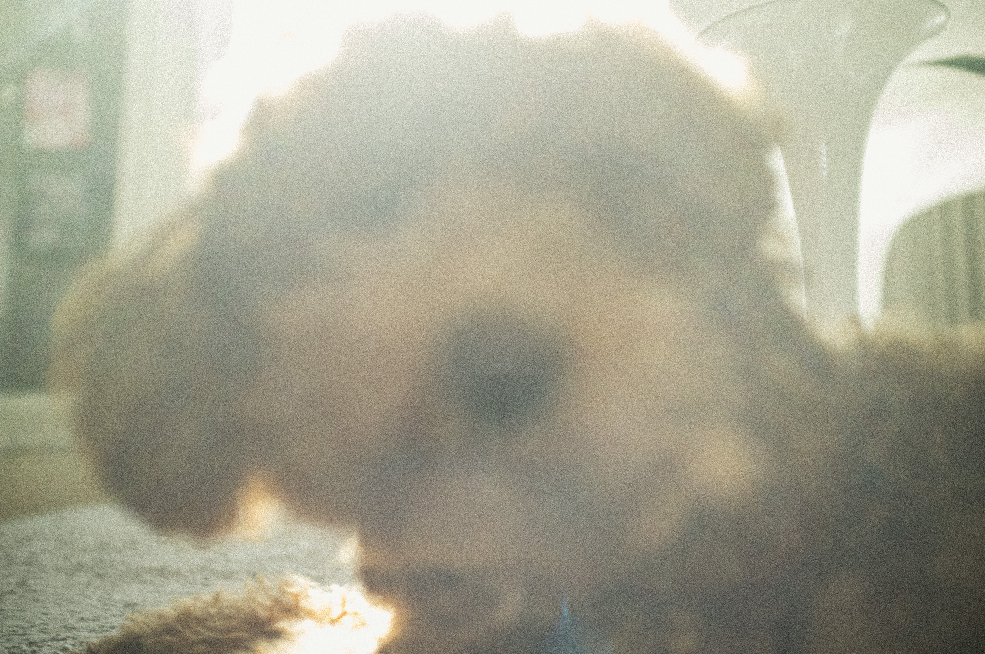 Kai-Uwe Gundlach - Elly