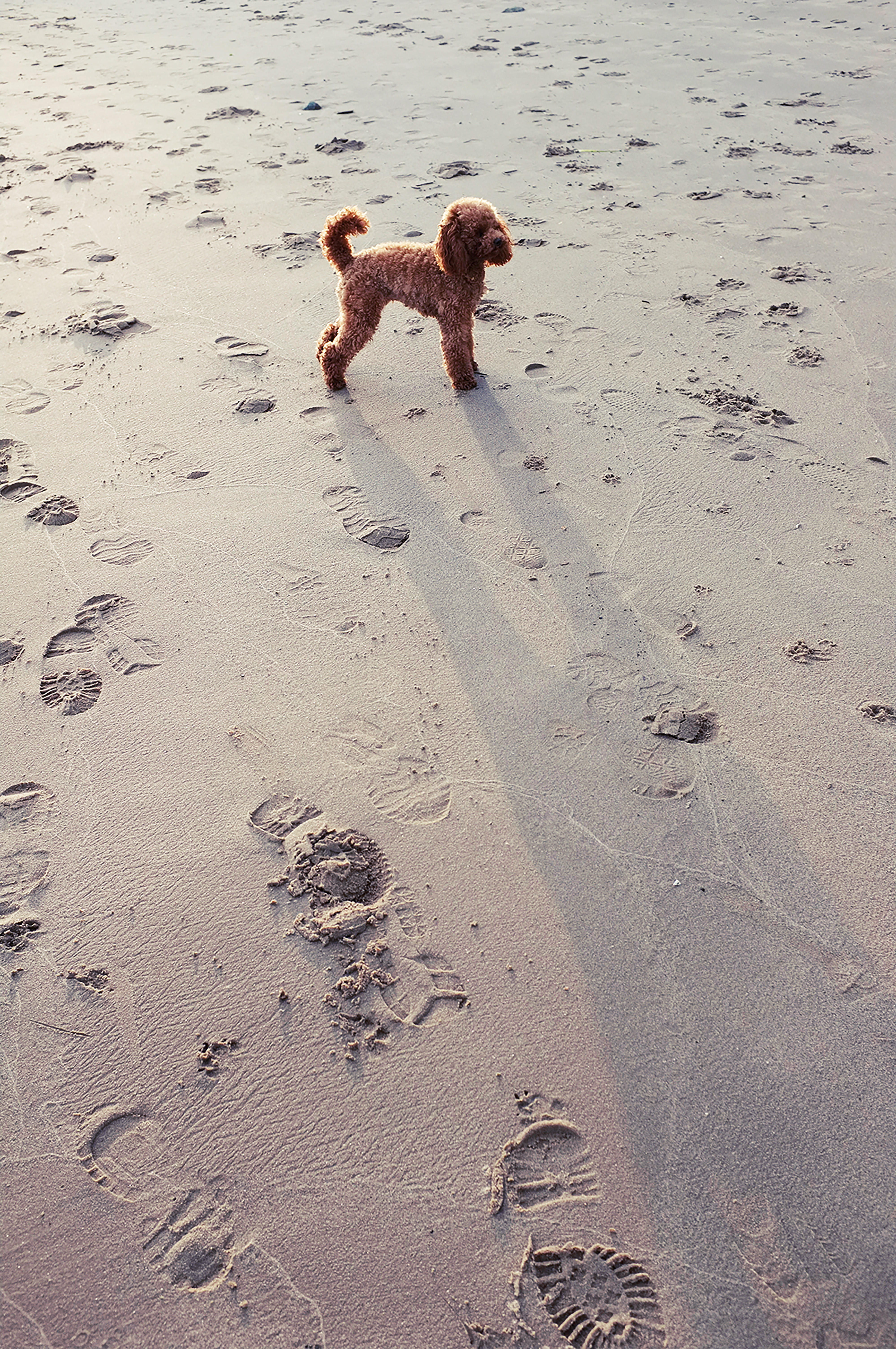 Kai-Uwe Gundlach - Elly