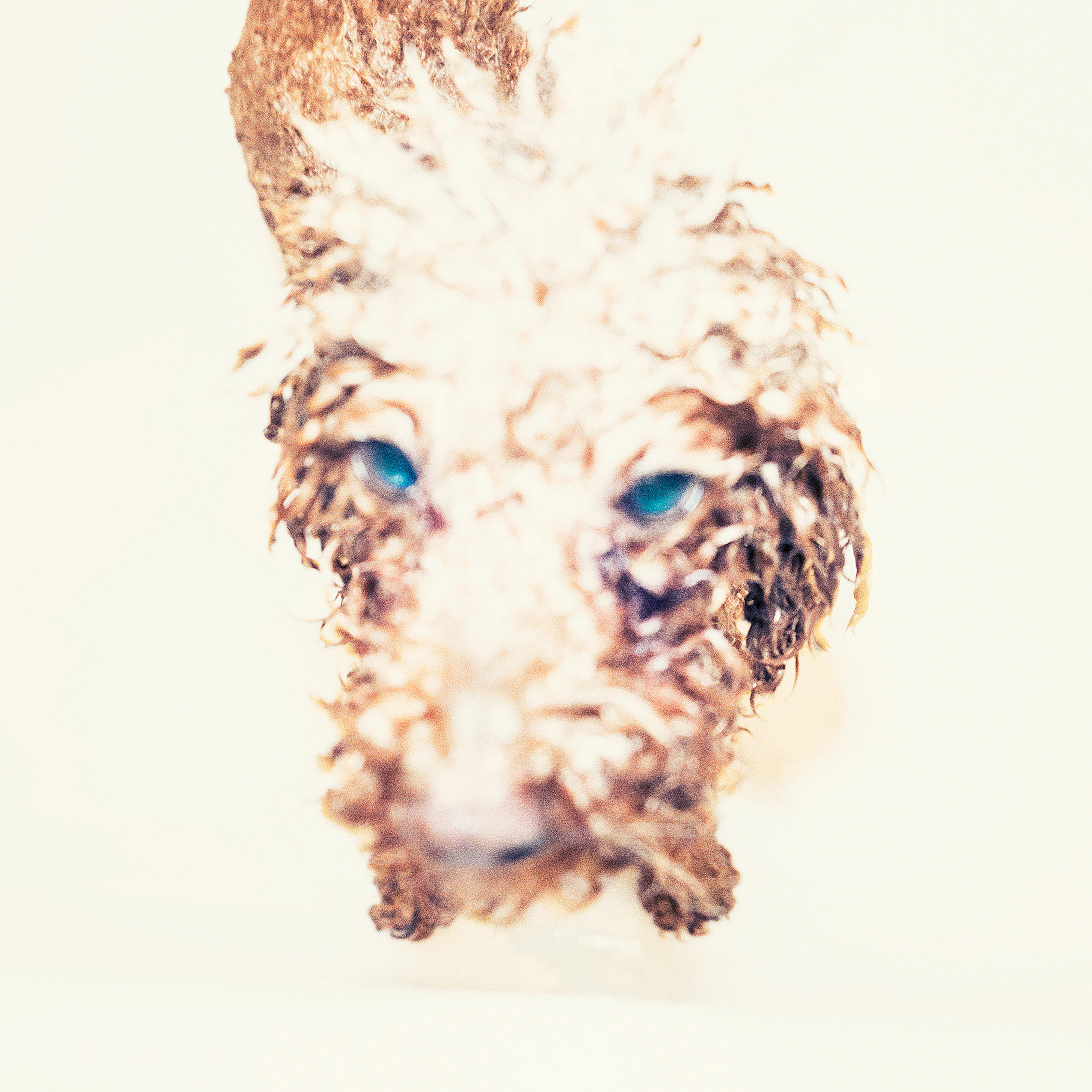 Kai-Uwe Gundlach - Elly