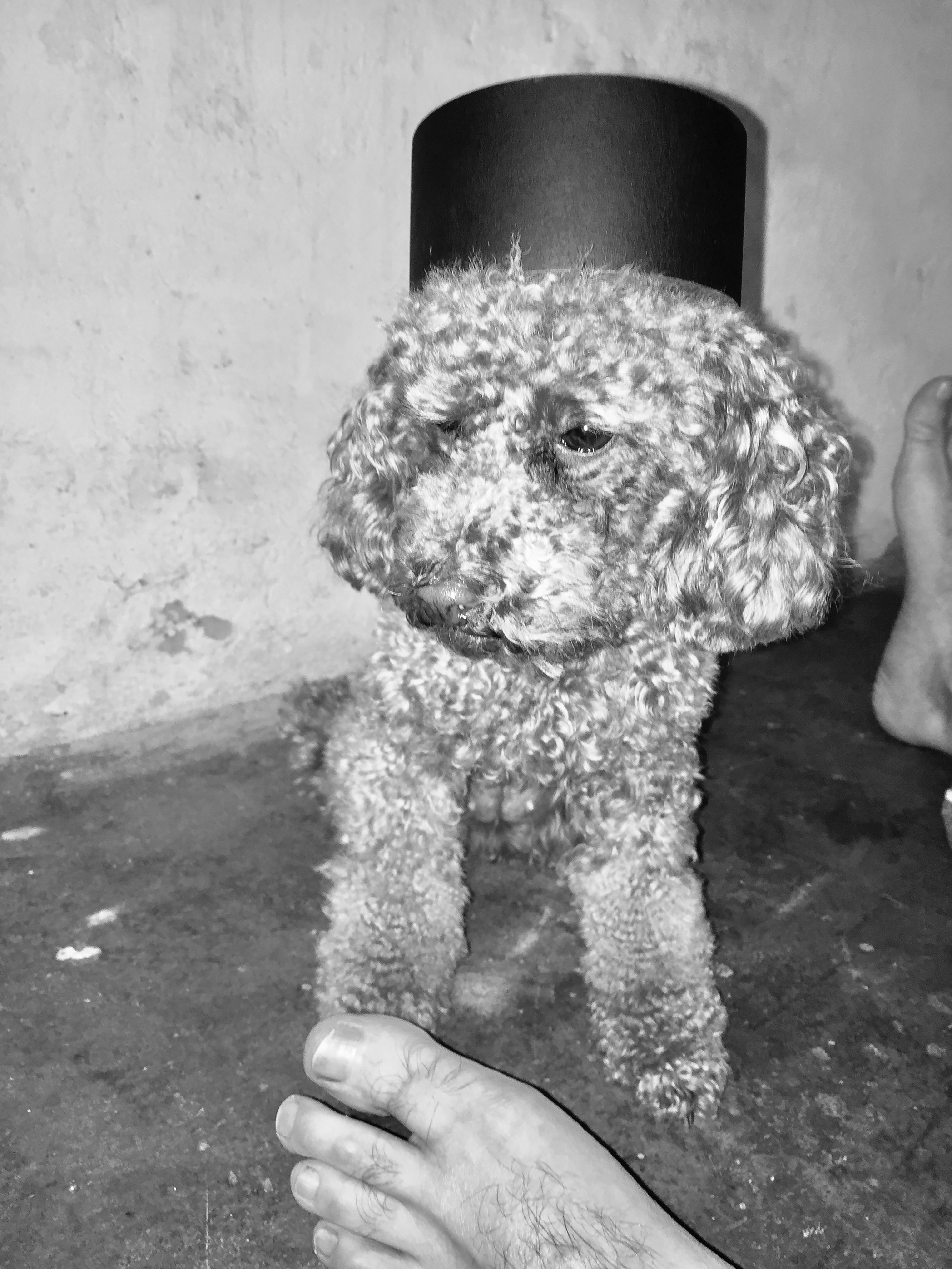 Kai-Uwe Gundlach - Elly