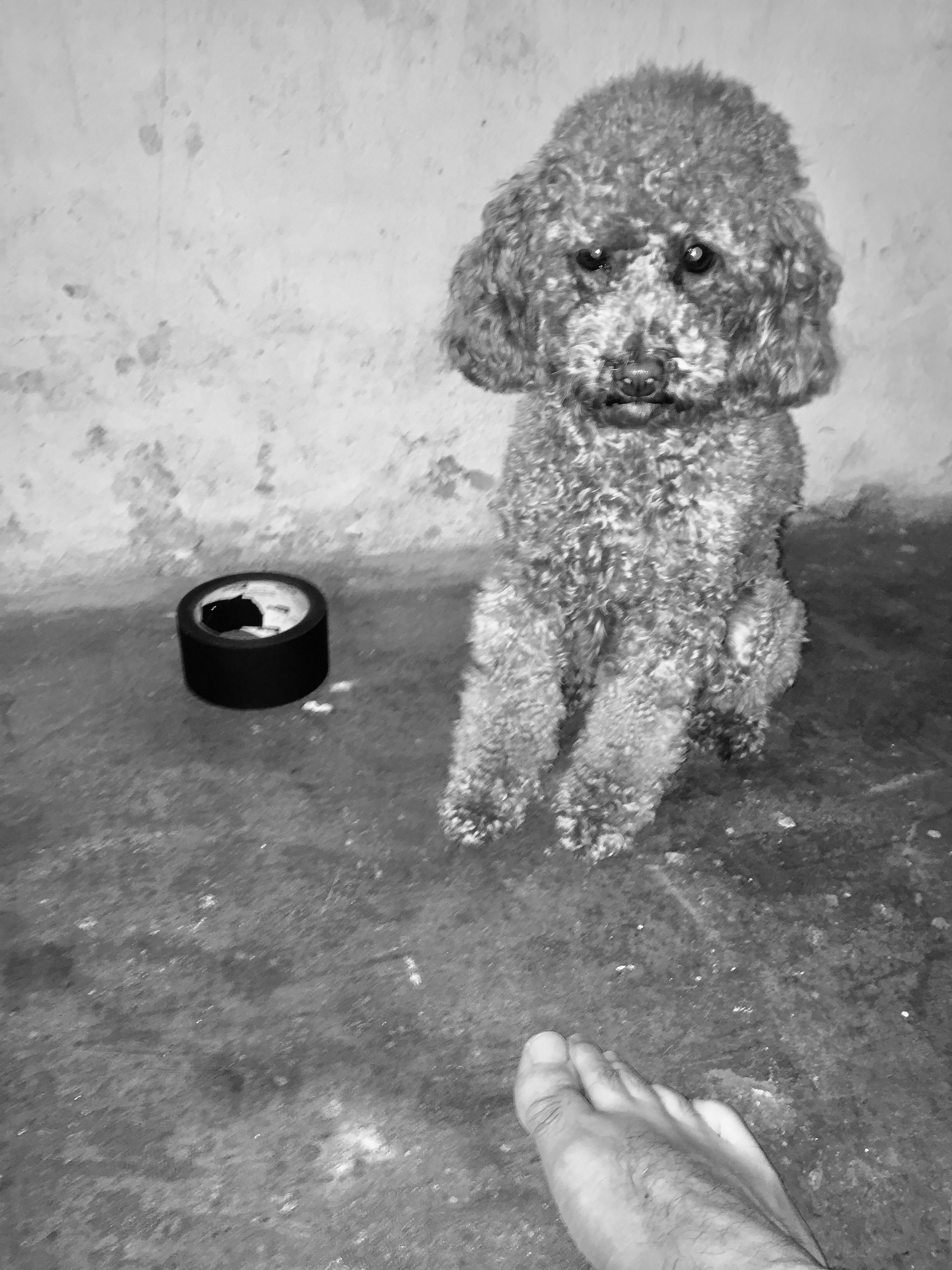 Kai-Uwe Gundlach - Elly