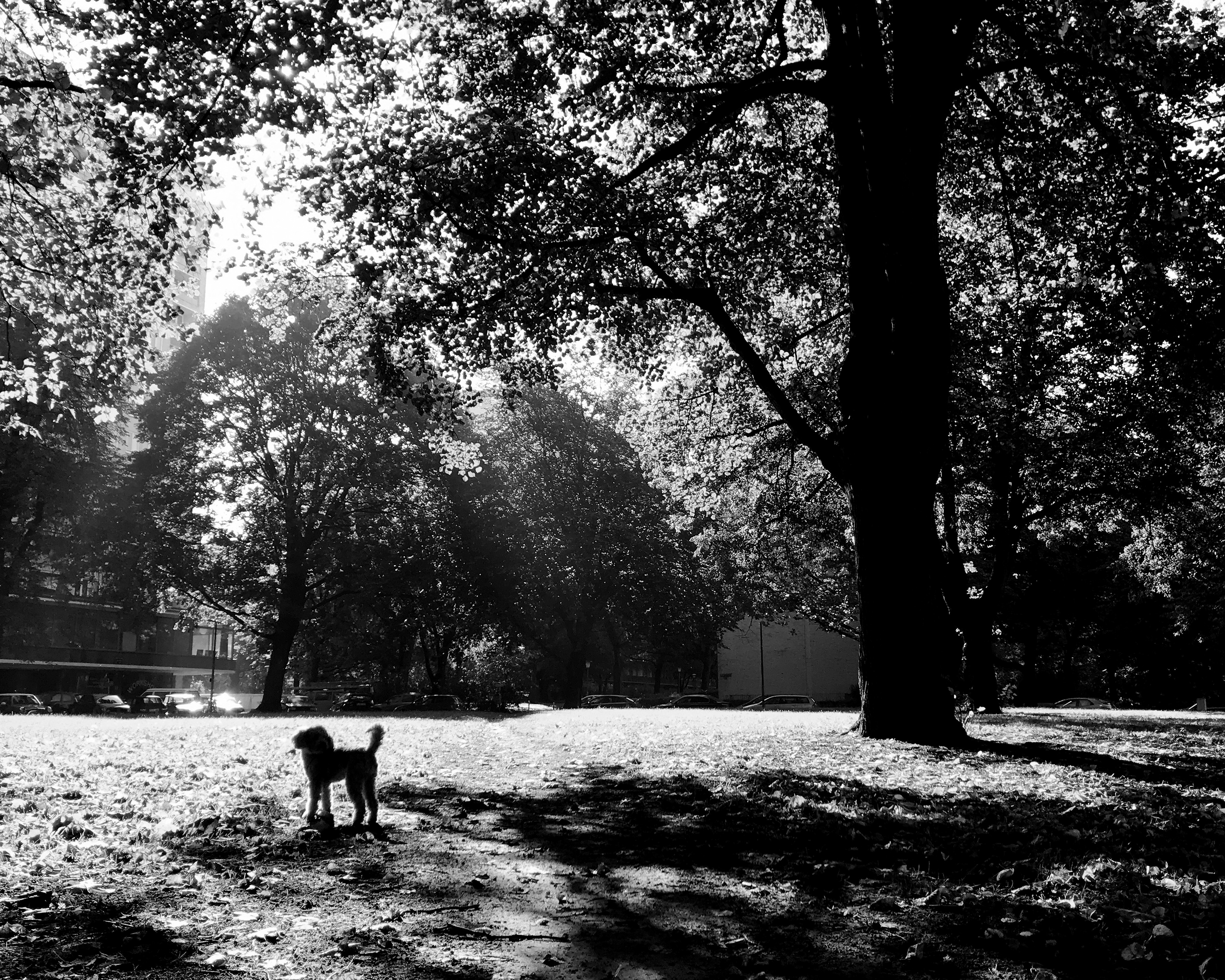 Kai-Uwe Gundlach - Elly