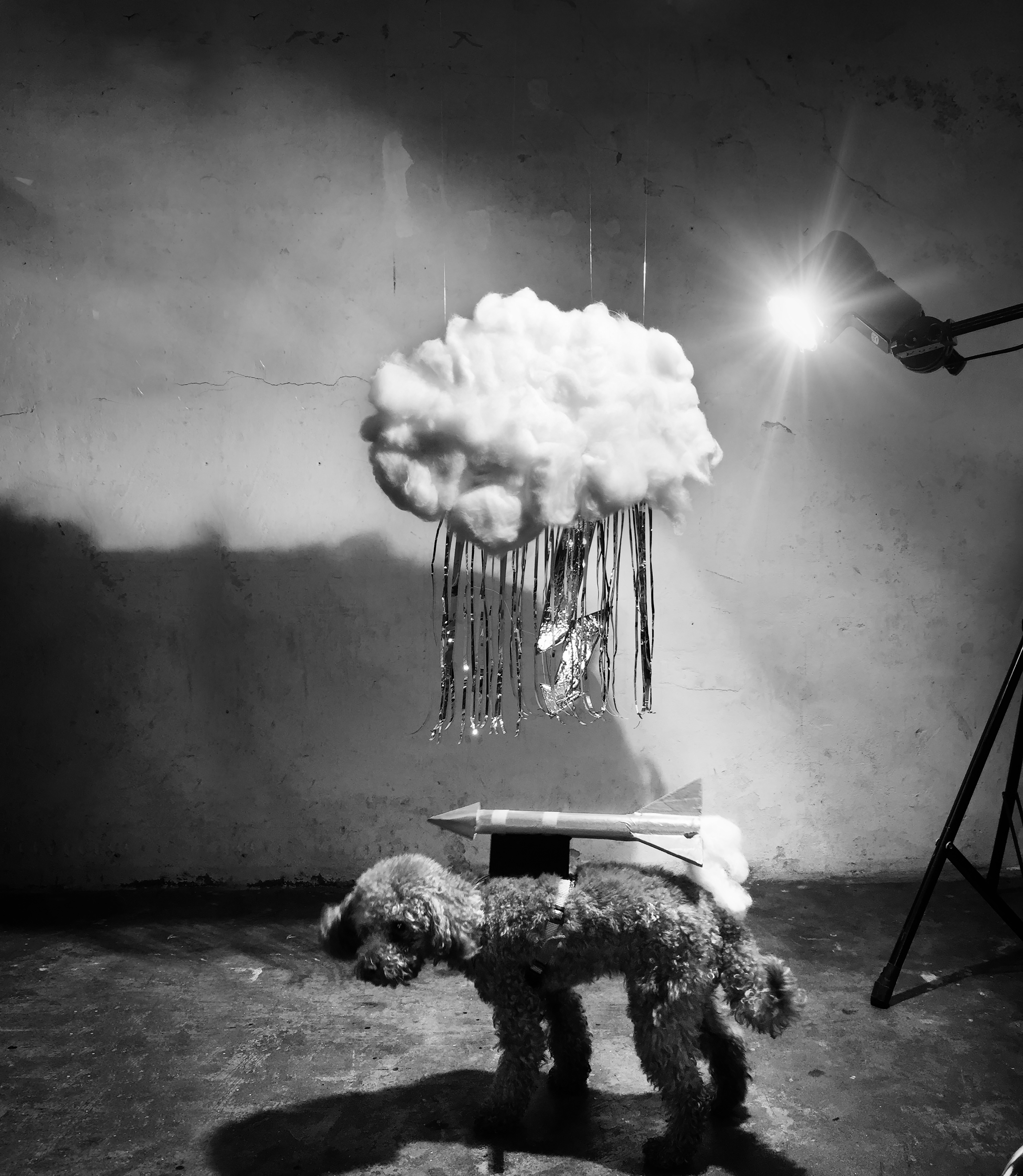 Kai-Uwe Gundlach - Elly