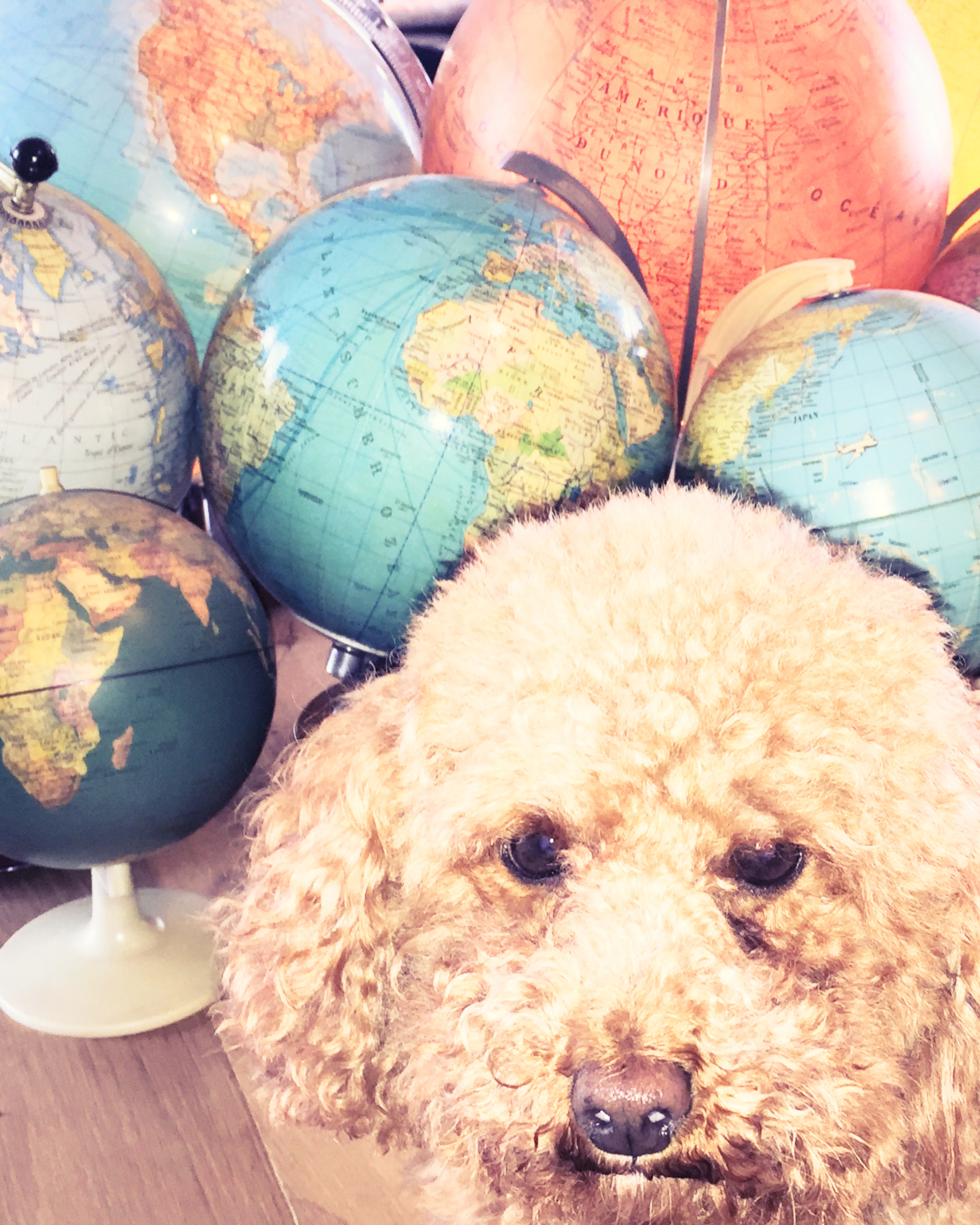 Kai-Uwe Gundlach - Elly