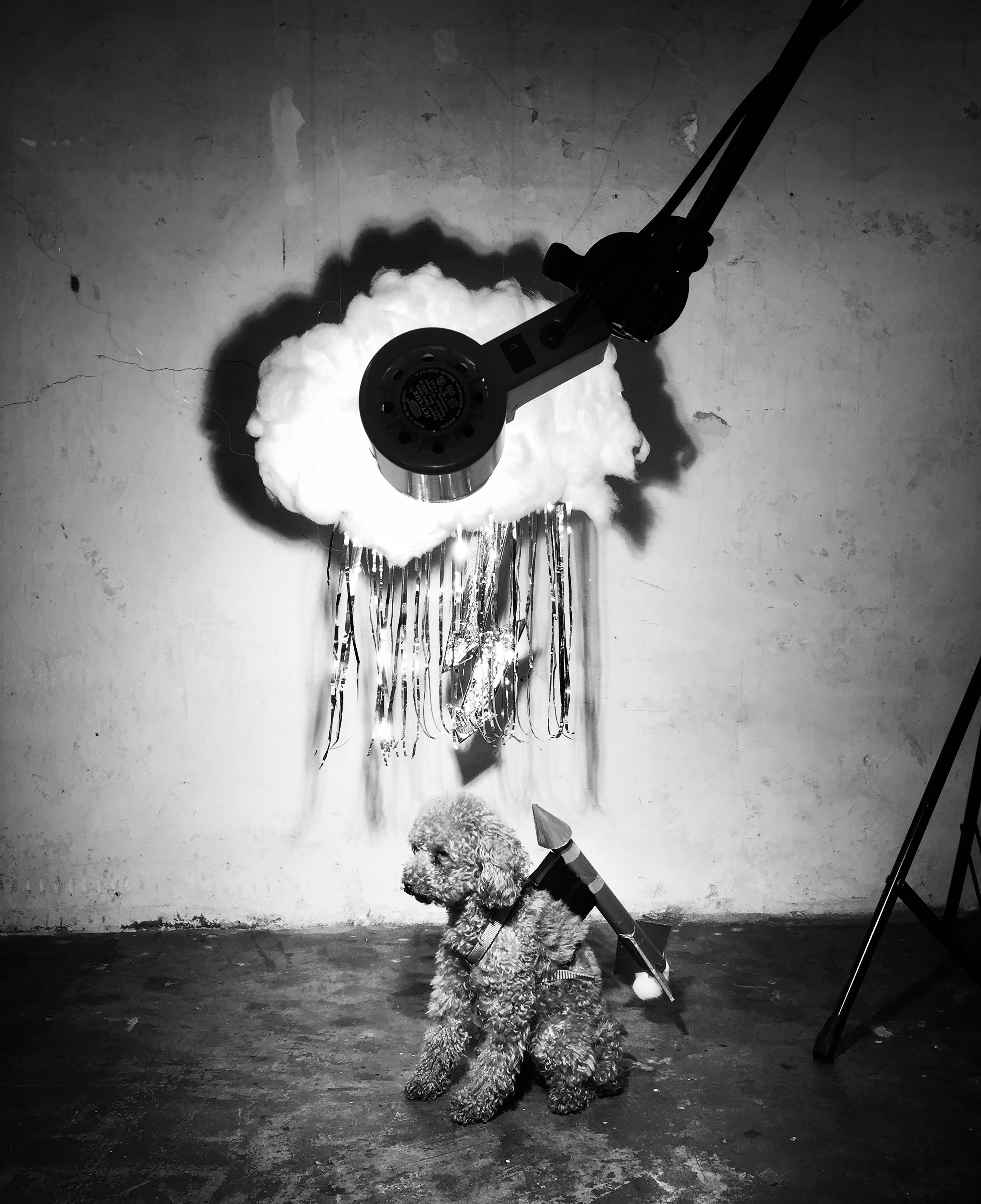 Kai-Uwe Gundlach - Elly