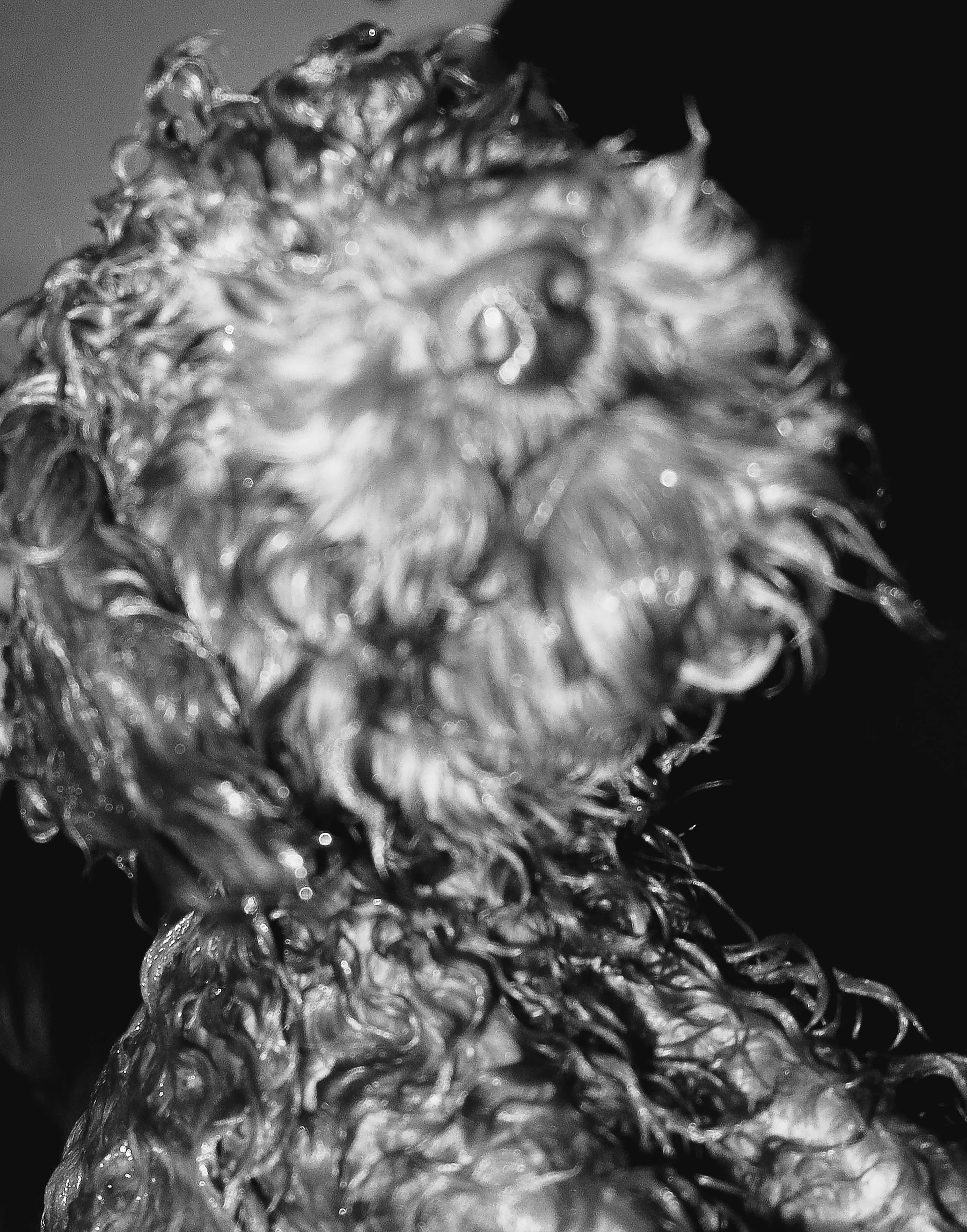 Kai-Uwe Gundlach - Elly