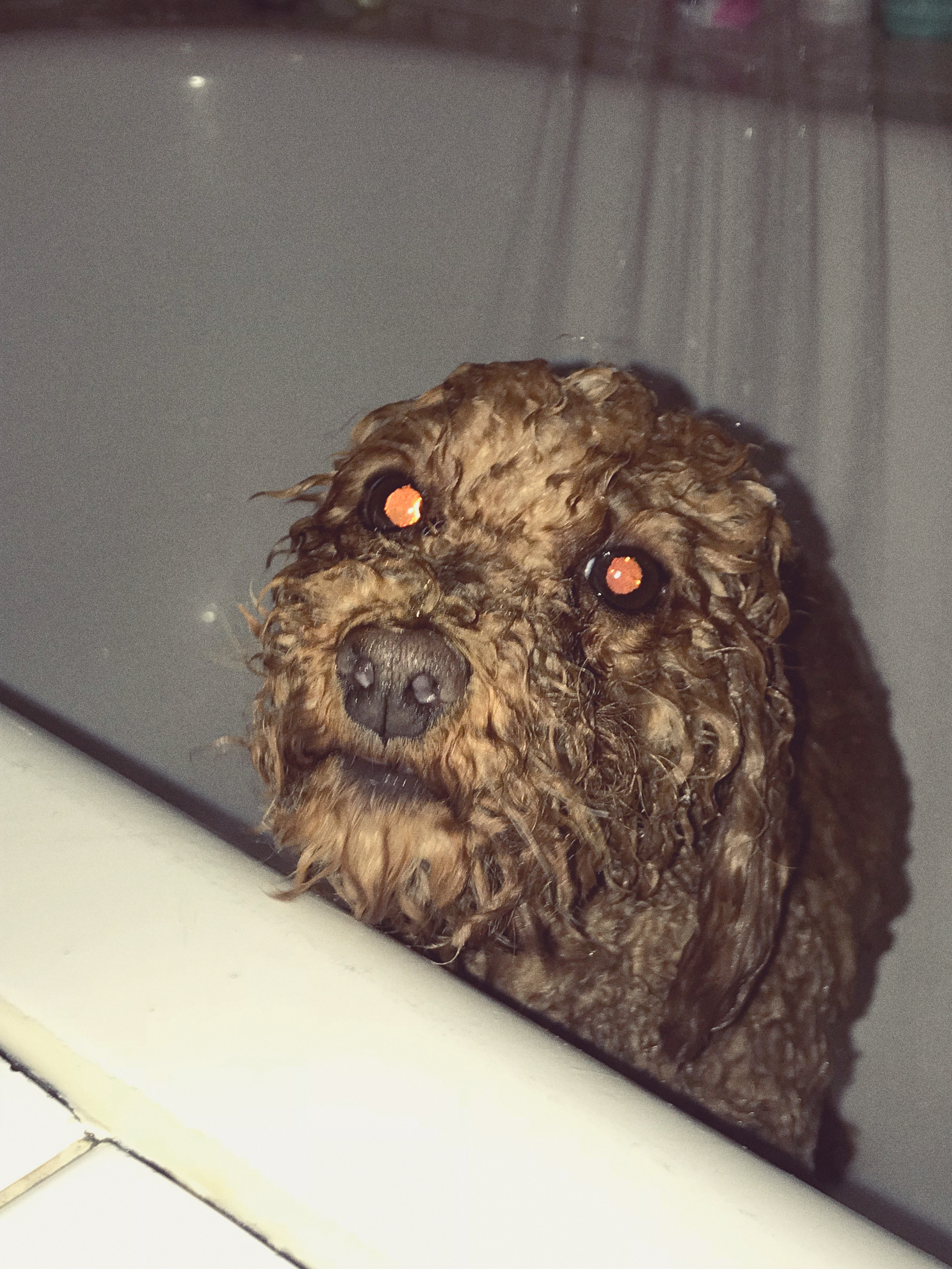 Kai-Uwe Gundlach - Elly