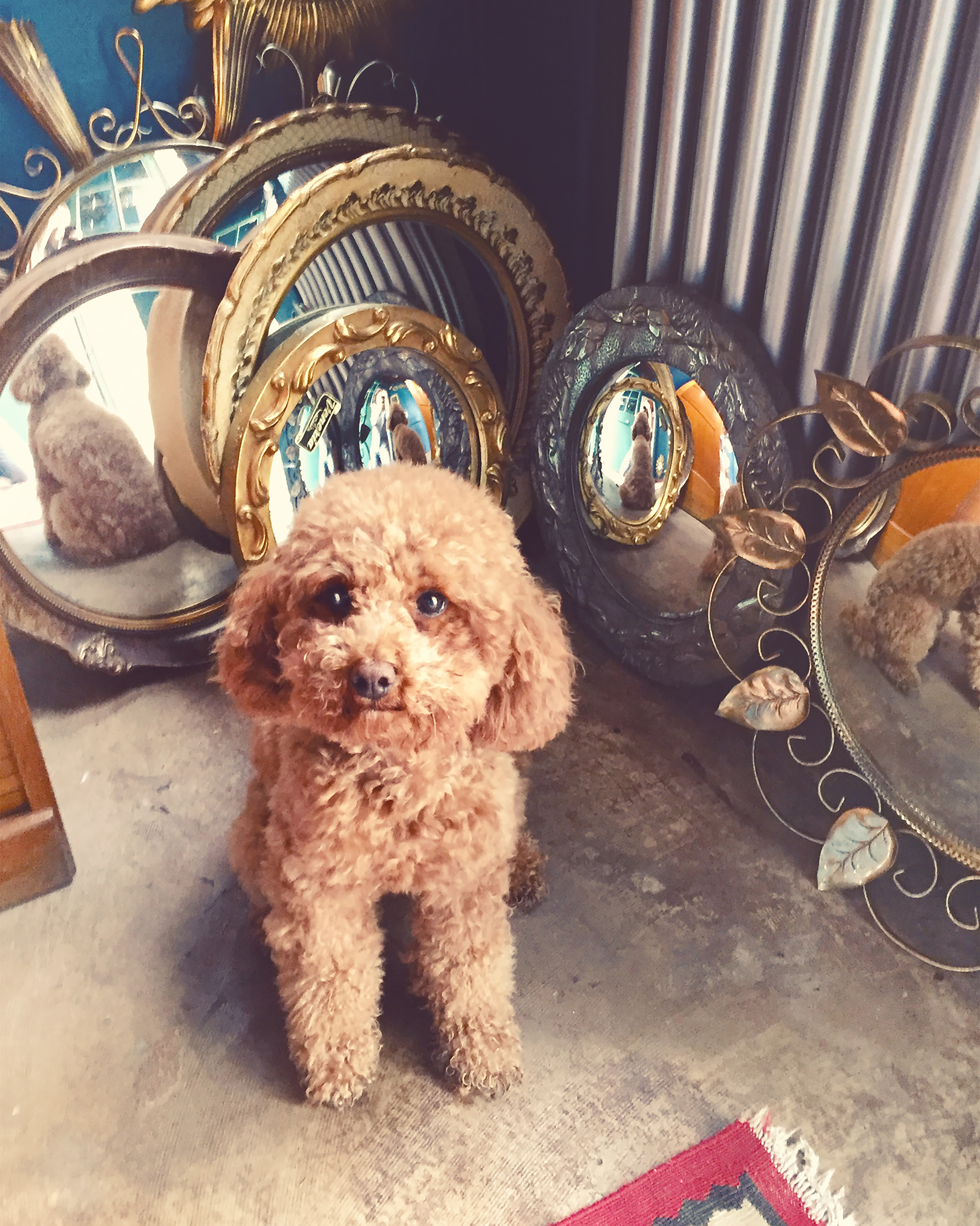 Kai-Uwe Gundlach - Elly