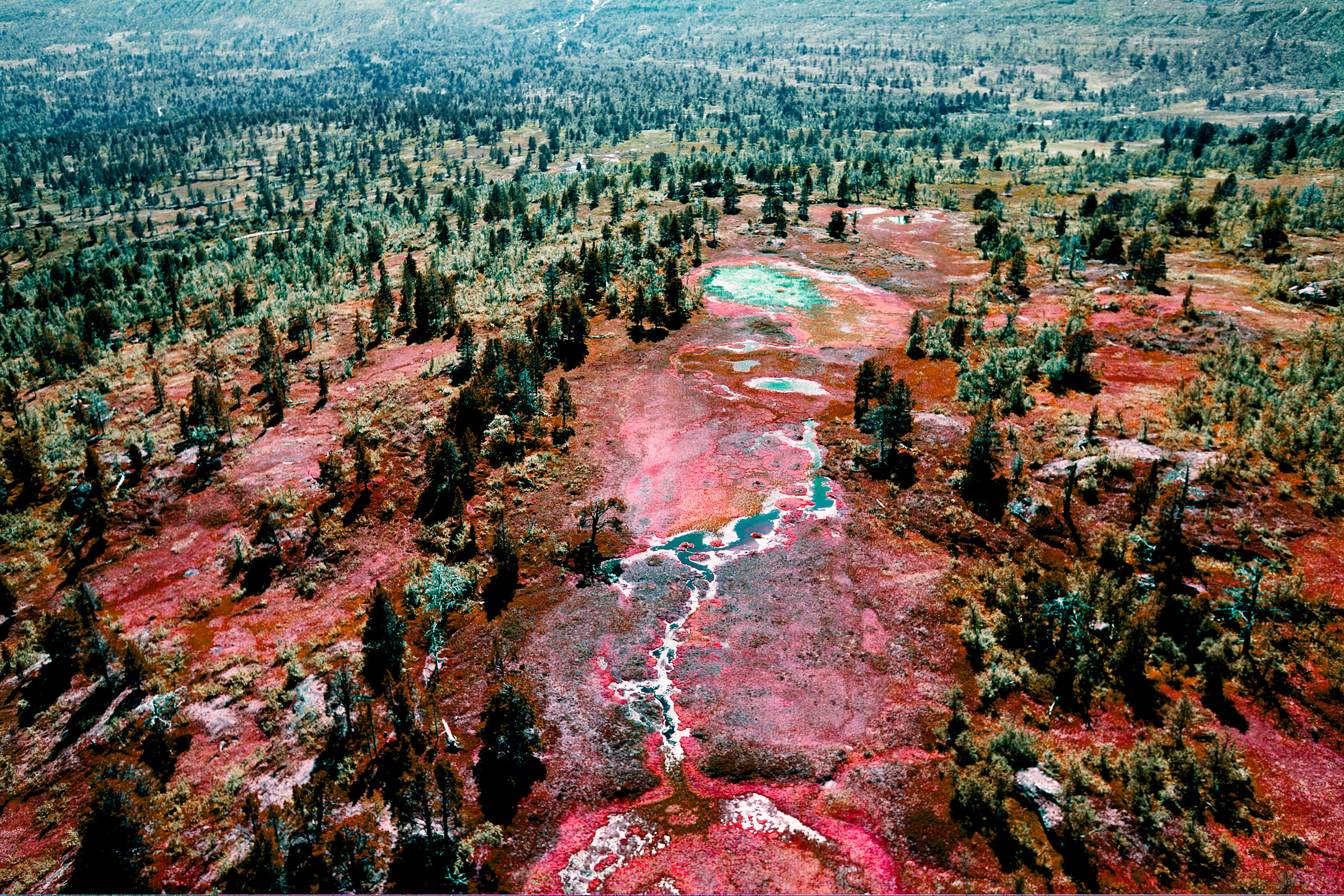Kai-Uwe Gundlach - mother earth