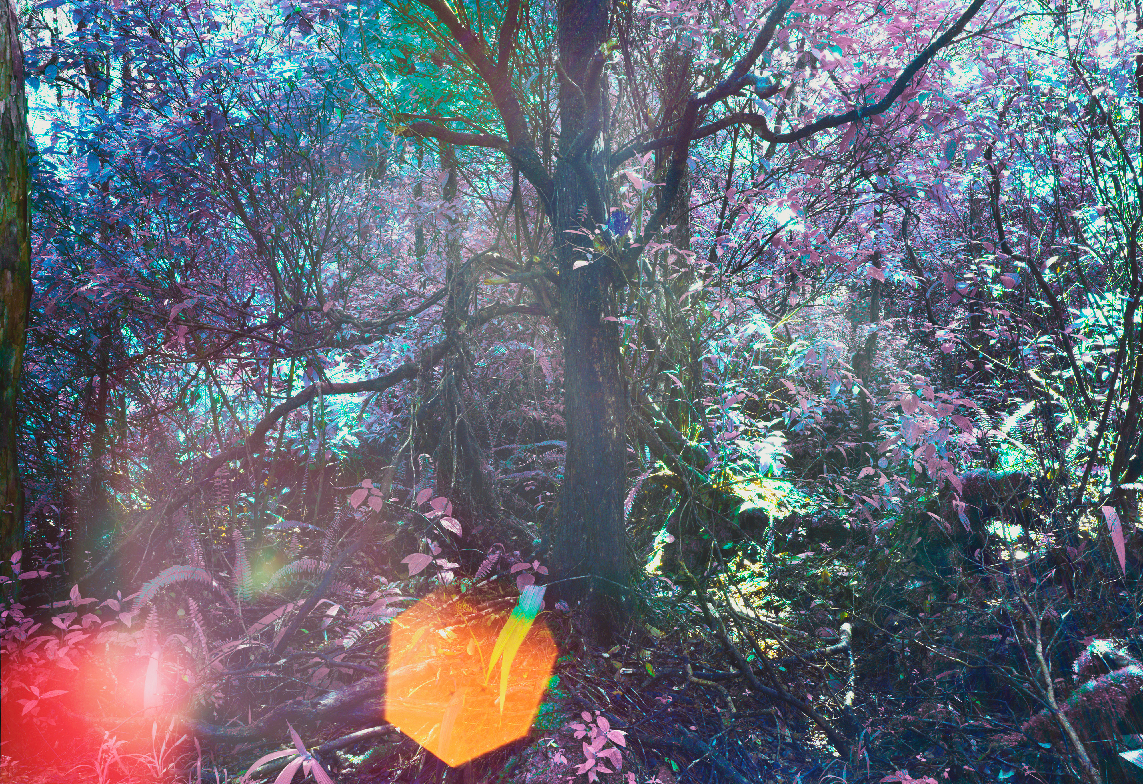 Kai-Uwe Gundlach - mother earth