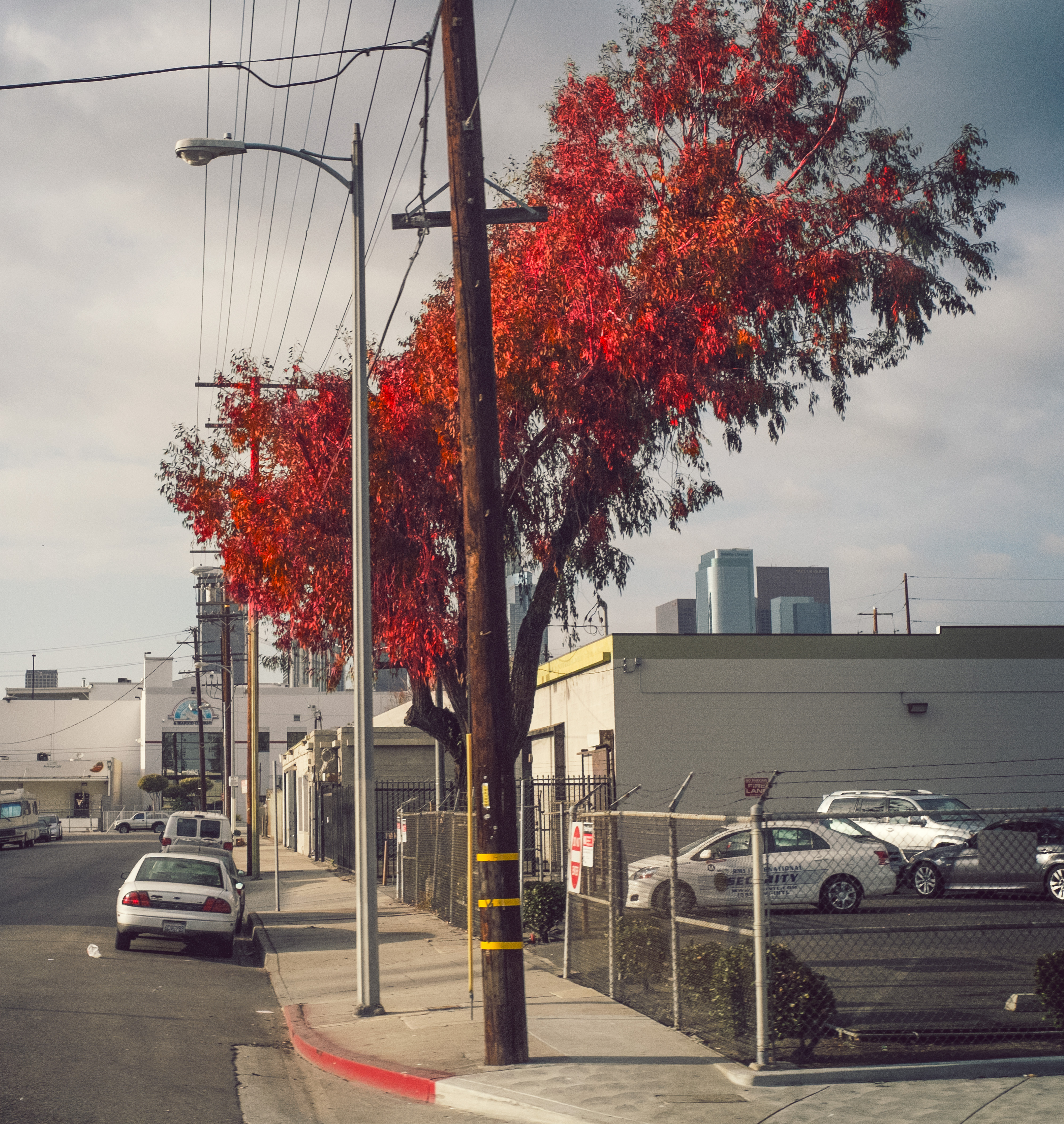 Kai-Uwe Gundlach - the one on the right is on the left #2