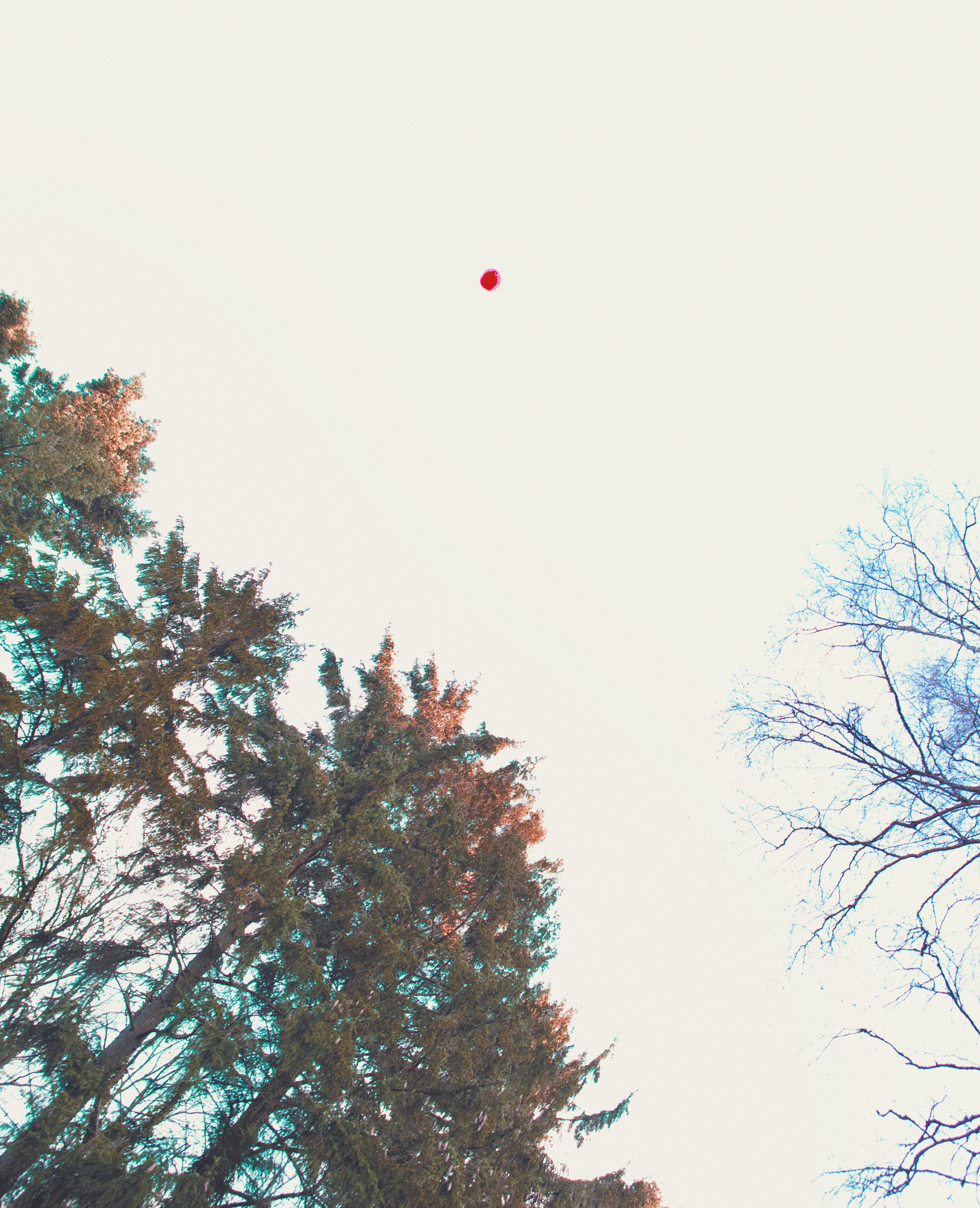 Kai-Uwe Gundlach - WHTsNXT #3