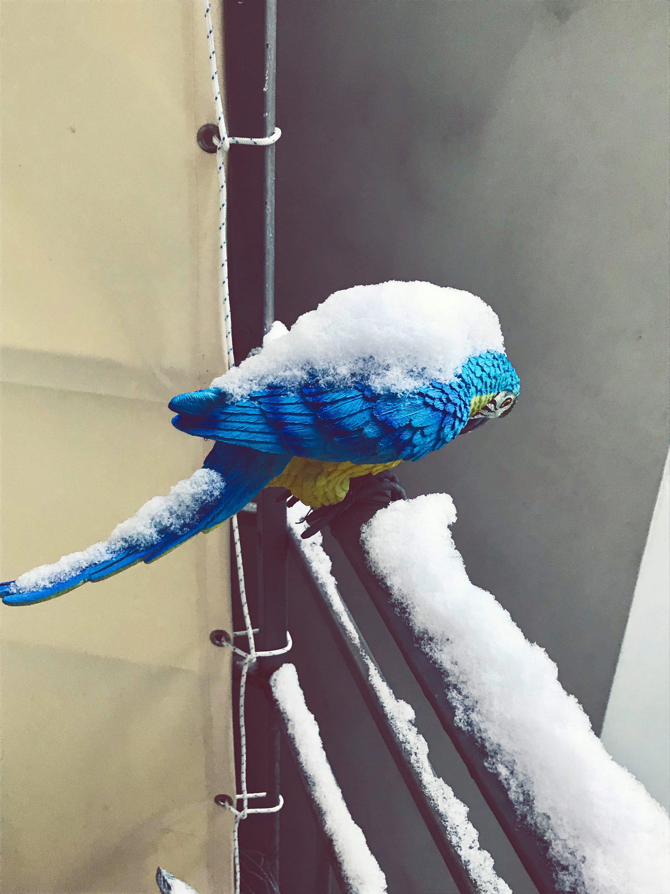 Kai-Uwe Gundlach - WHTsNXT #1