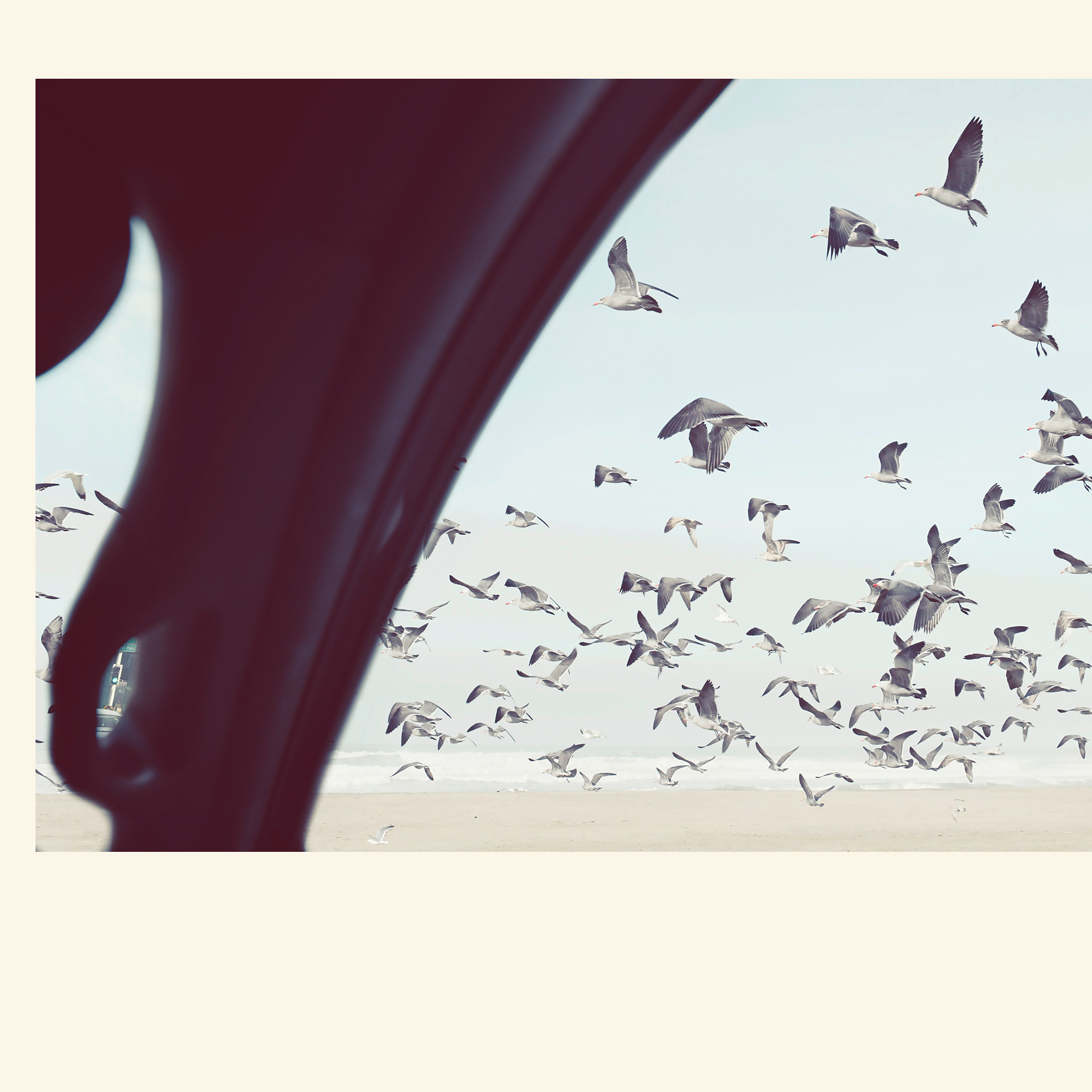 Kai-Uwe Gundlach - the seagulls