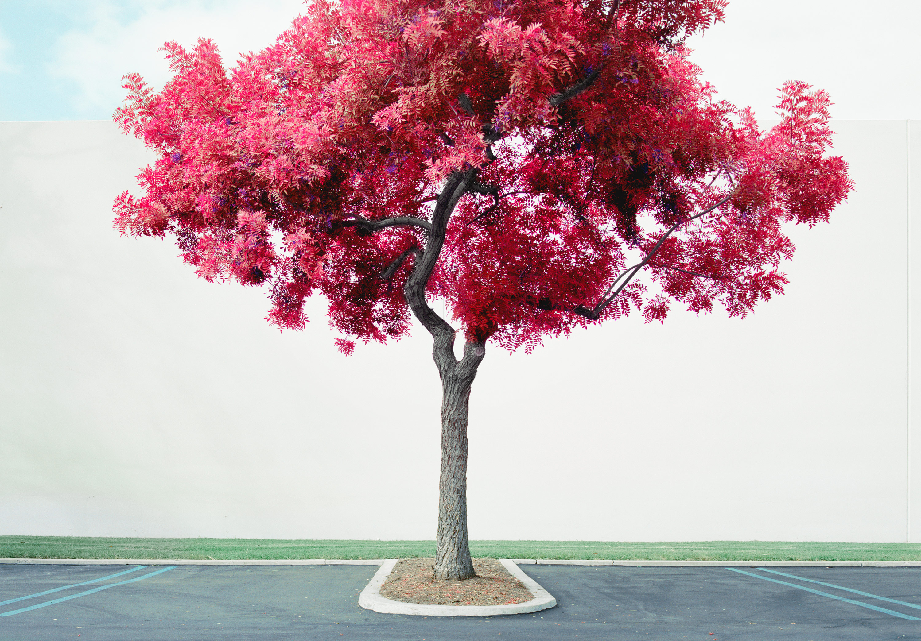 Kai-Uwe Gundlach - Hong Kong