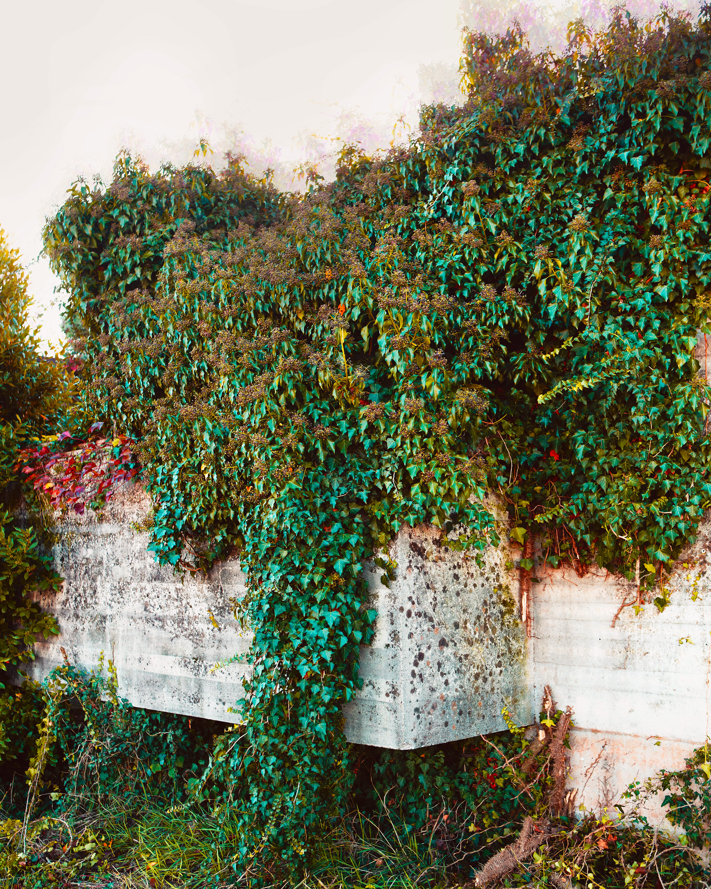 Kai-Uwe Gundlach - Tomba Brion