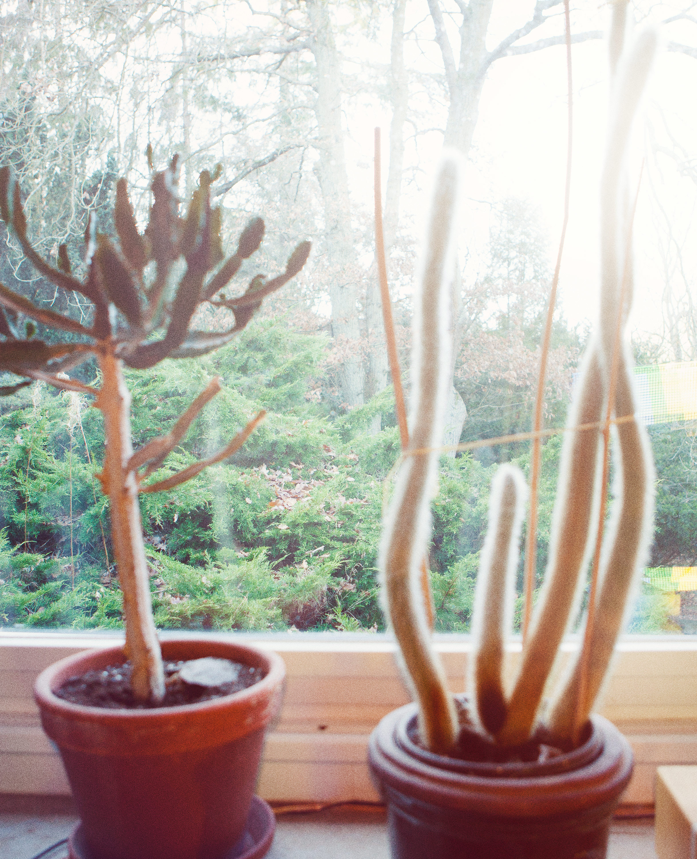 Kai-Uwe Gundlach - Peer