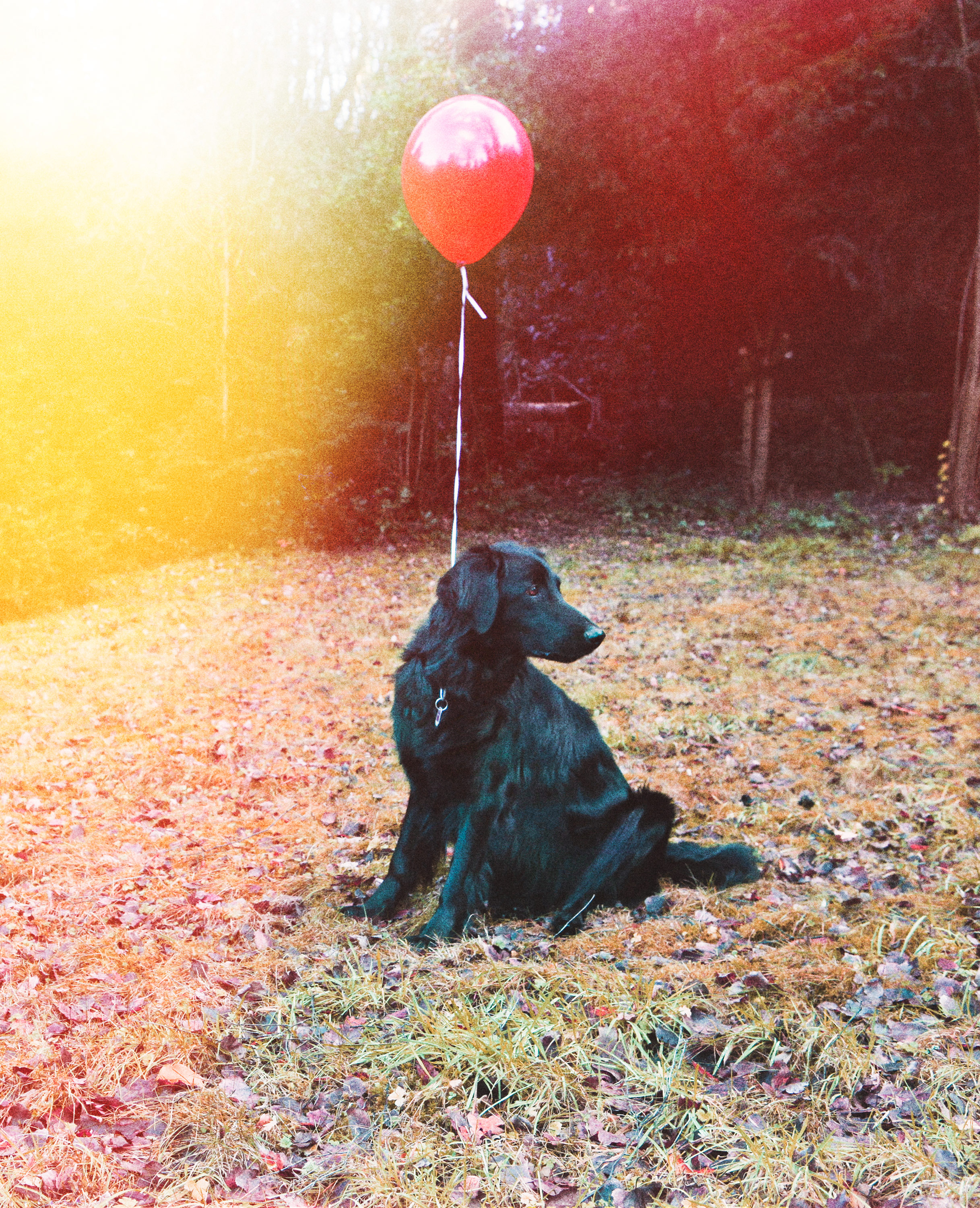 Kai-Uwe Gundlach - Peer