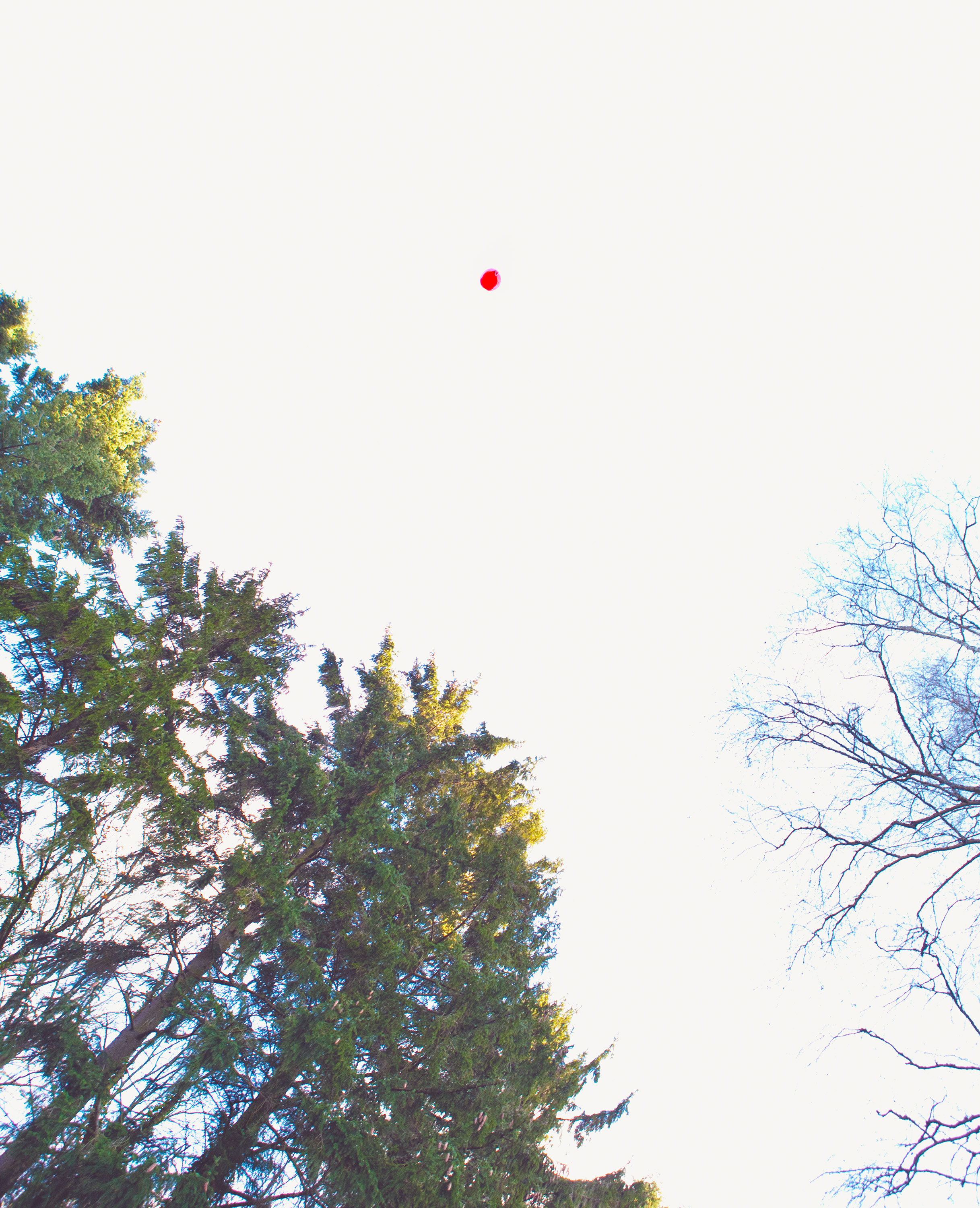 Kai-Uwe Gundlach - Peer