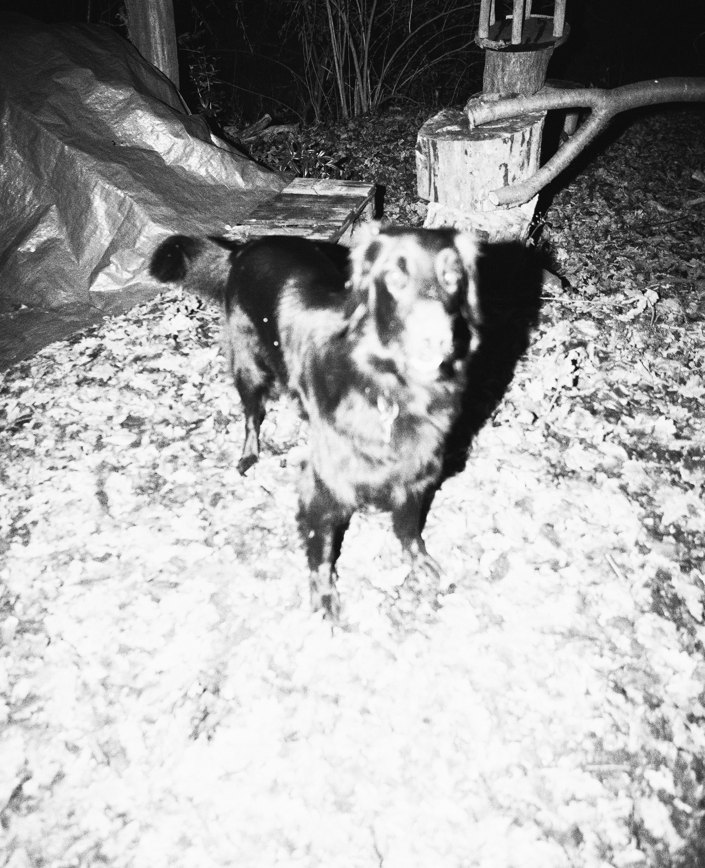 Kai-Uwe Gundlach - Peer