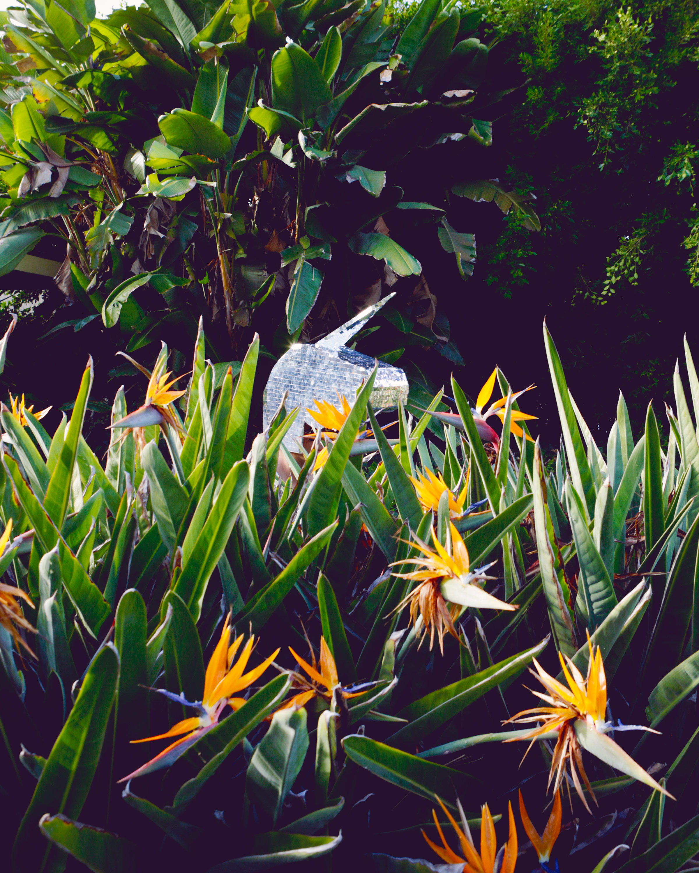 Kai-Uwe Gundlach - the unicorn