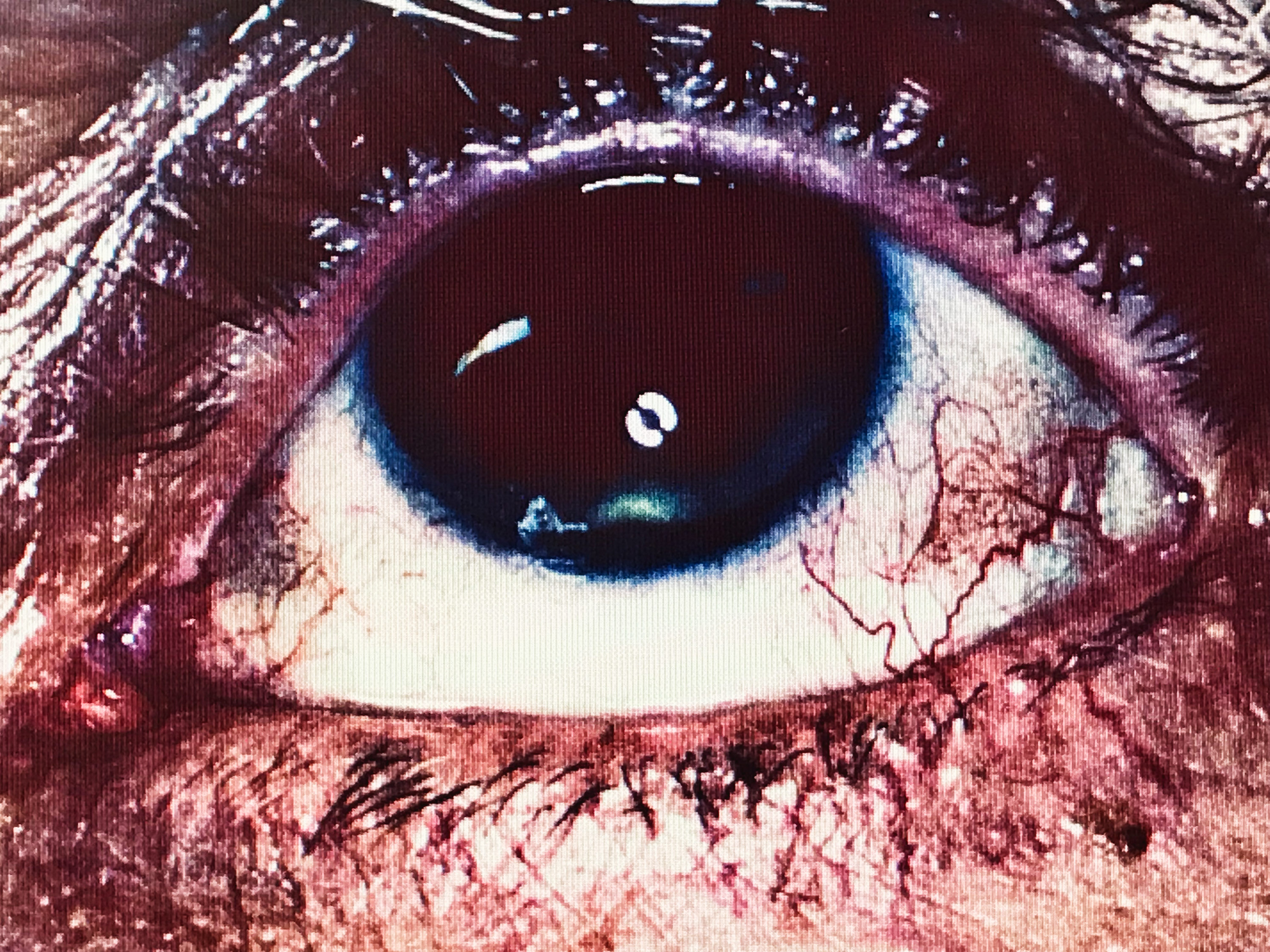 Kai-Uwe Gundlach - Rolf