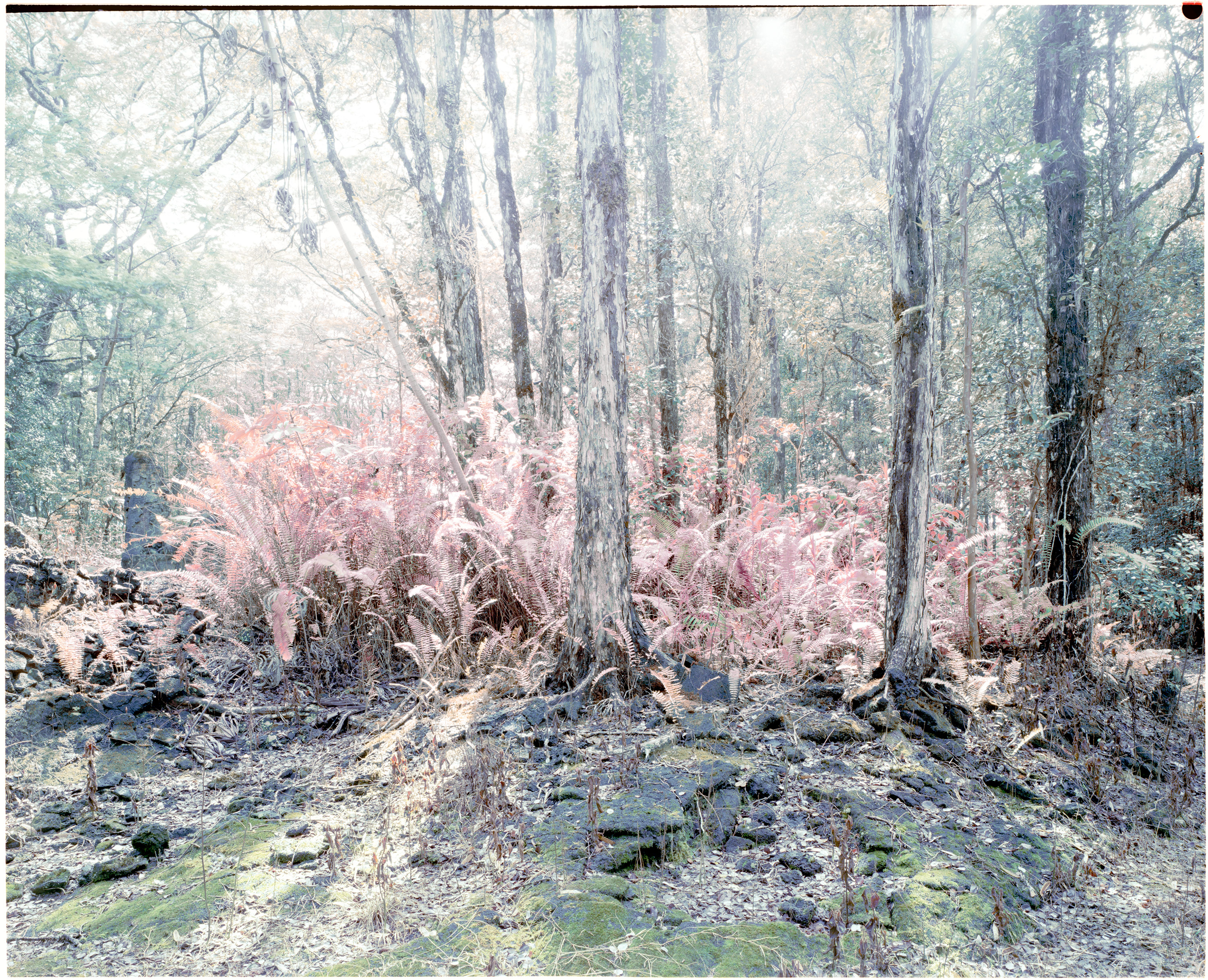 Kai-Uwe Gundlach - back & forth