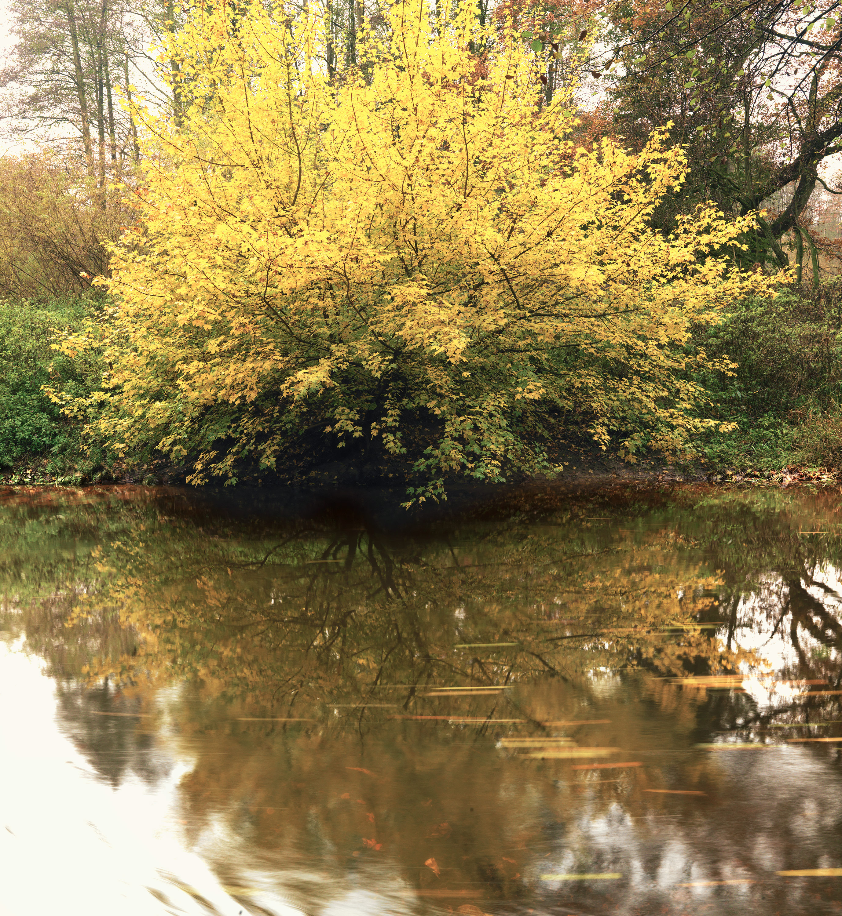 Kai-Uwe Gundlach - back & forth