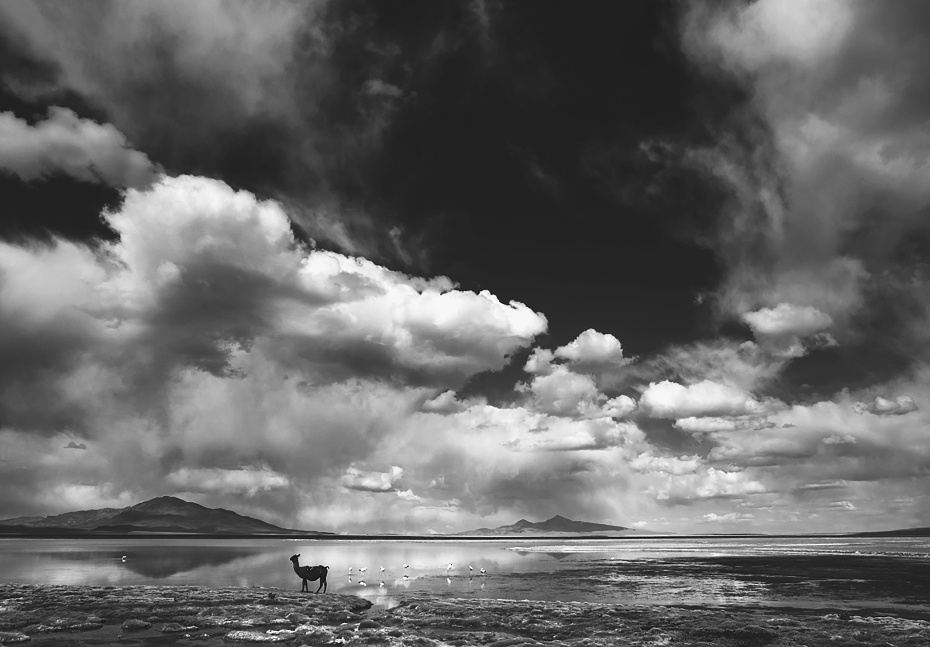 Kai-Uwe Gundlach - back & forth