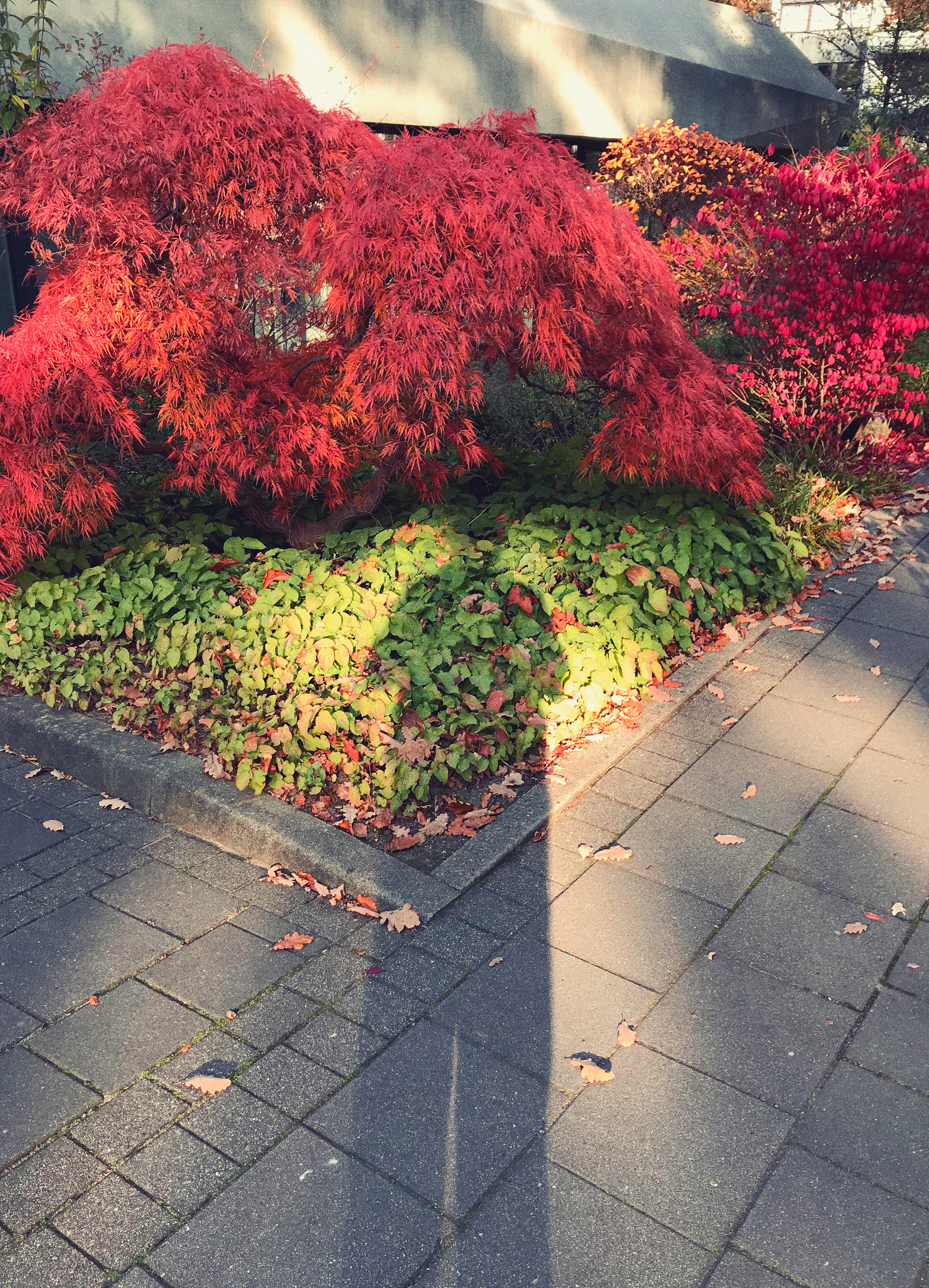 Kai-Uwe Gundlach - by the way