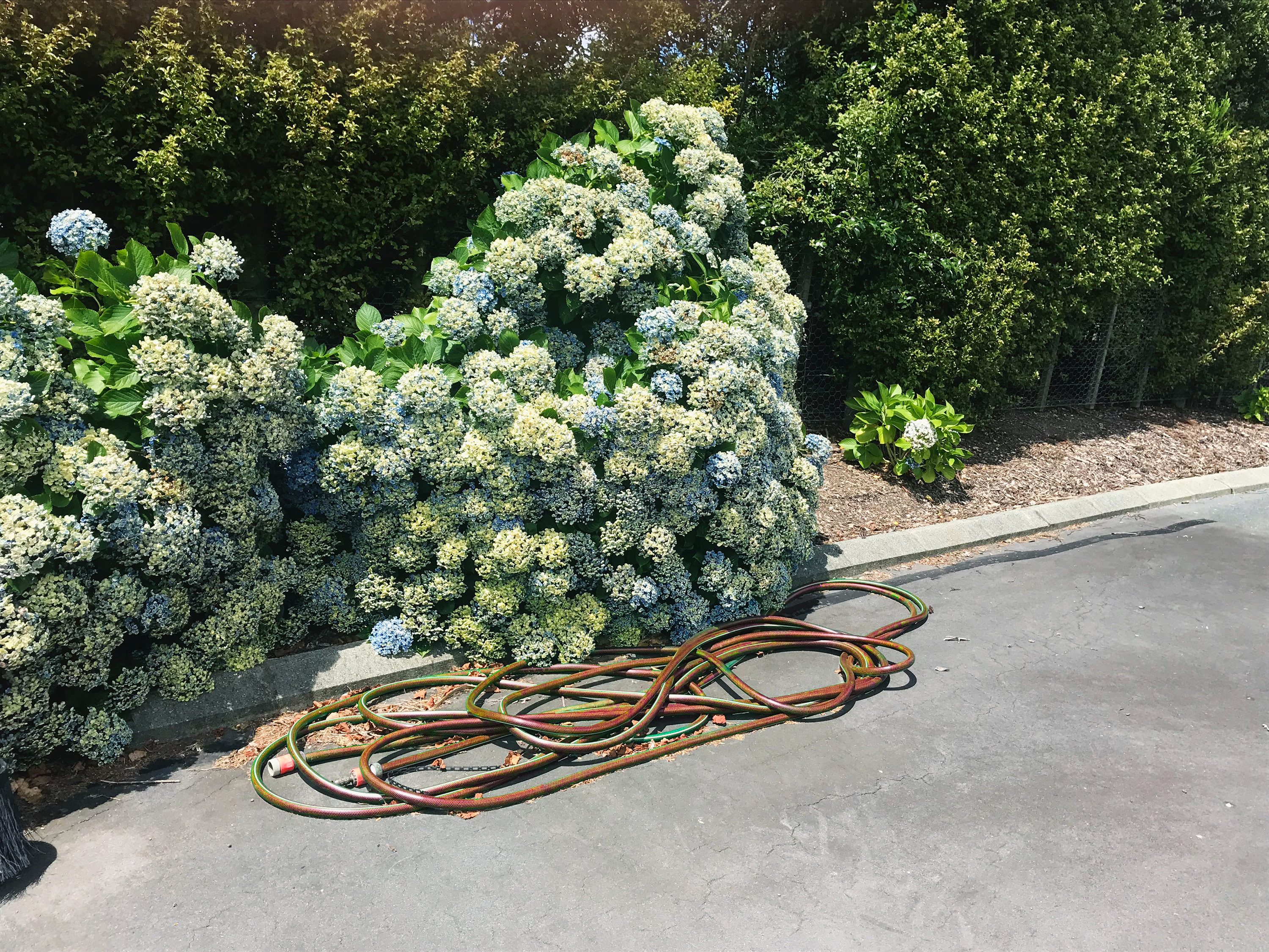 Kai-Uwe Gundlach - by the way