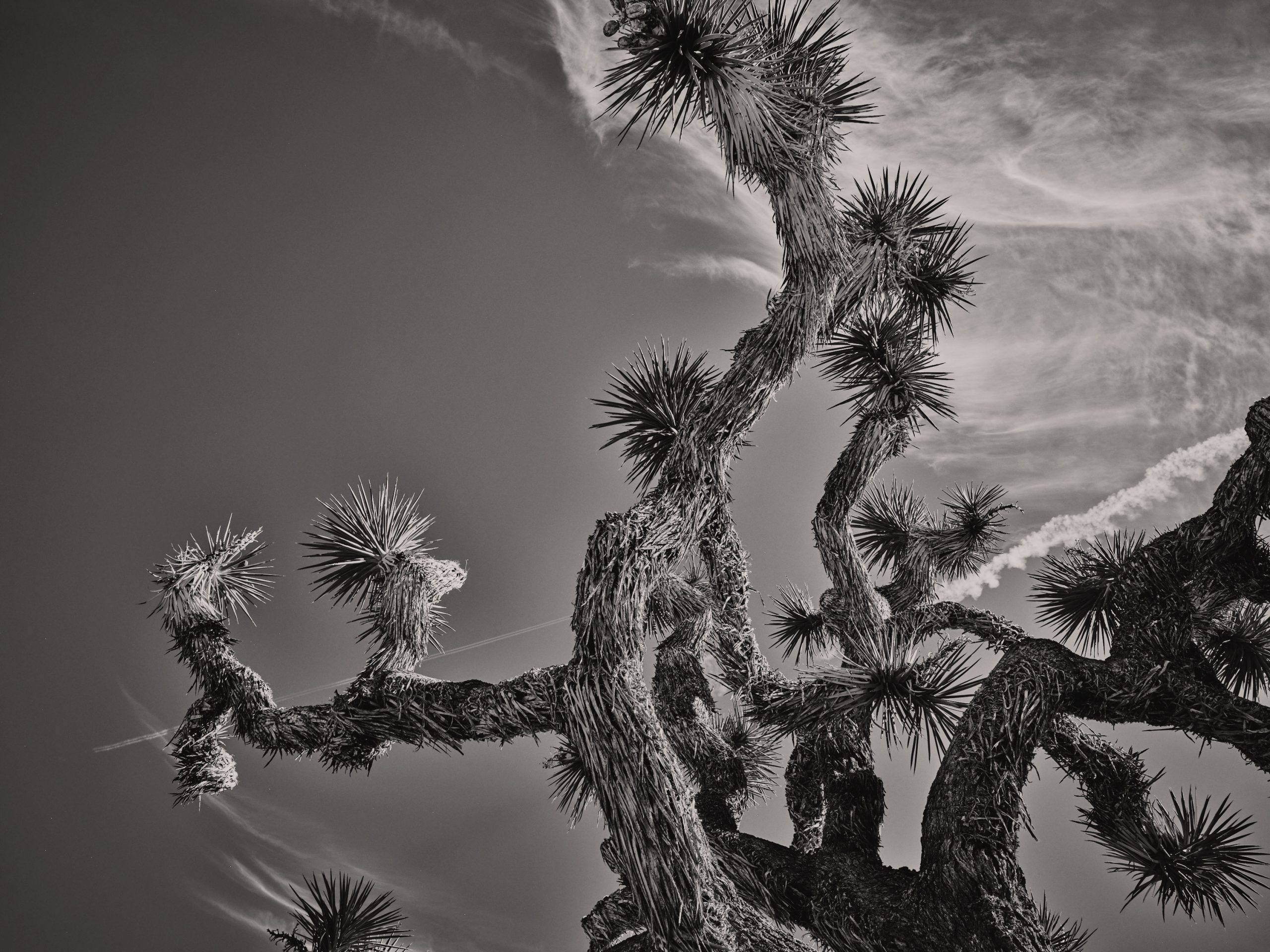 Kai-Uwe Gundlach - BMW i7 – the invisible house