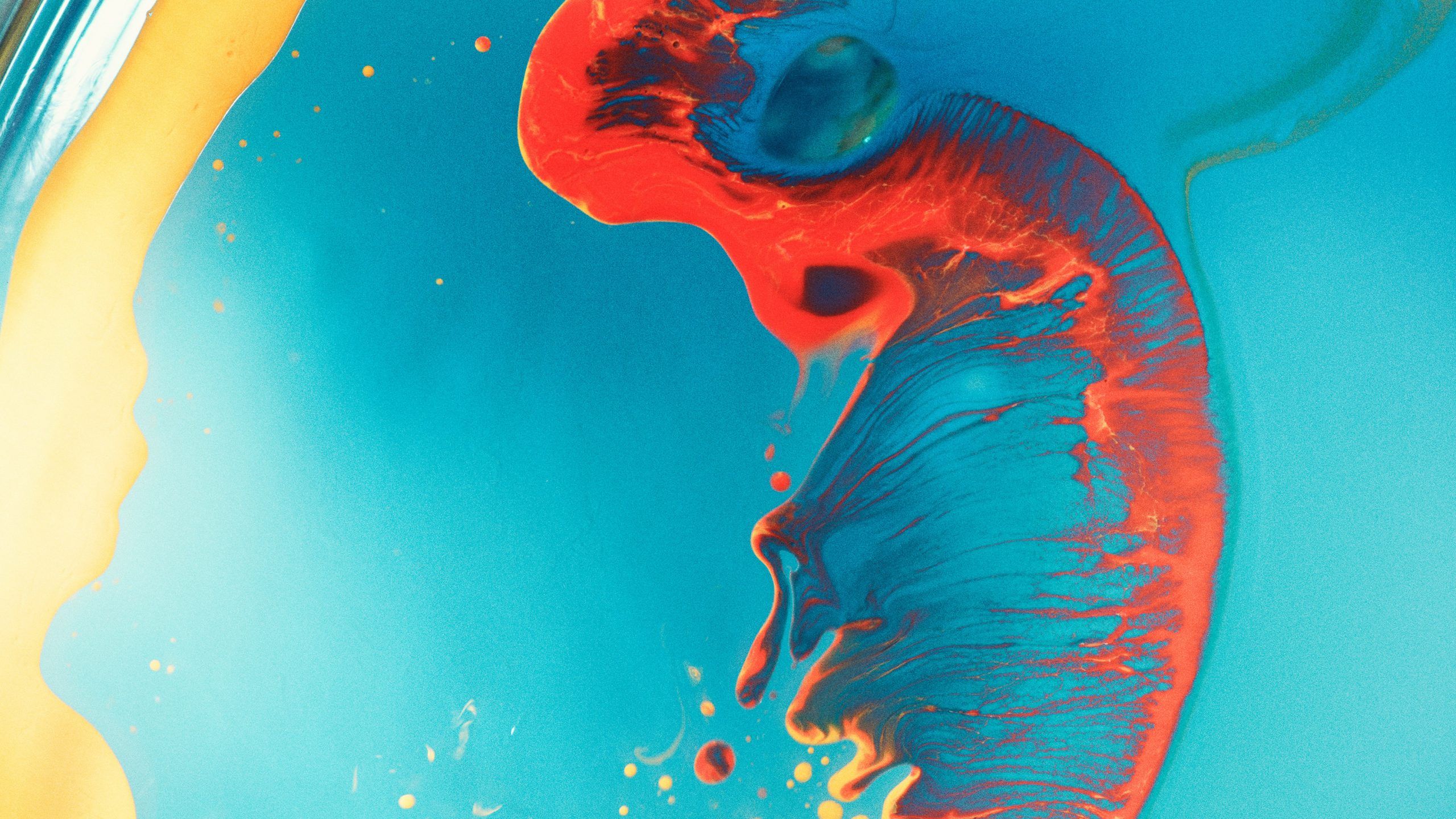 Kai-Uwe Gundlach - Duravit Brush