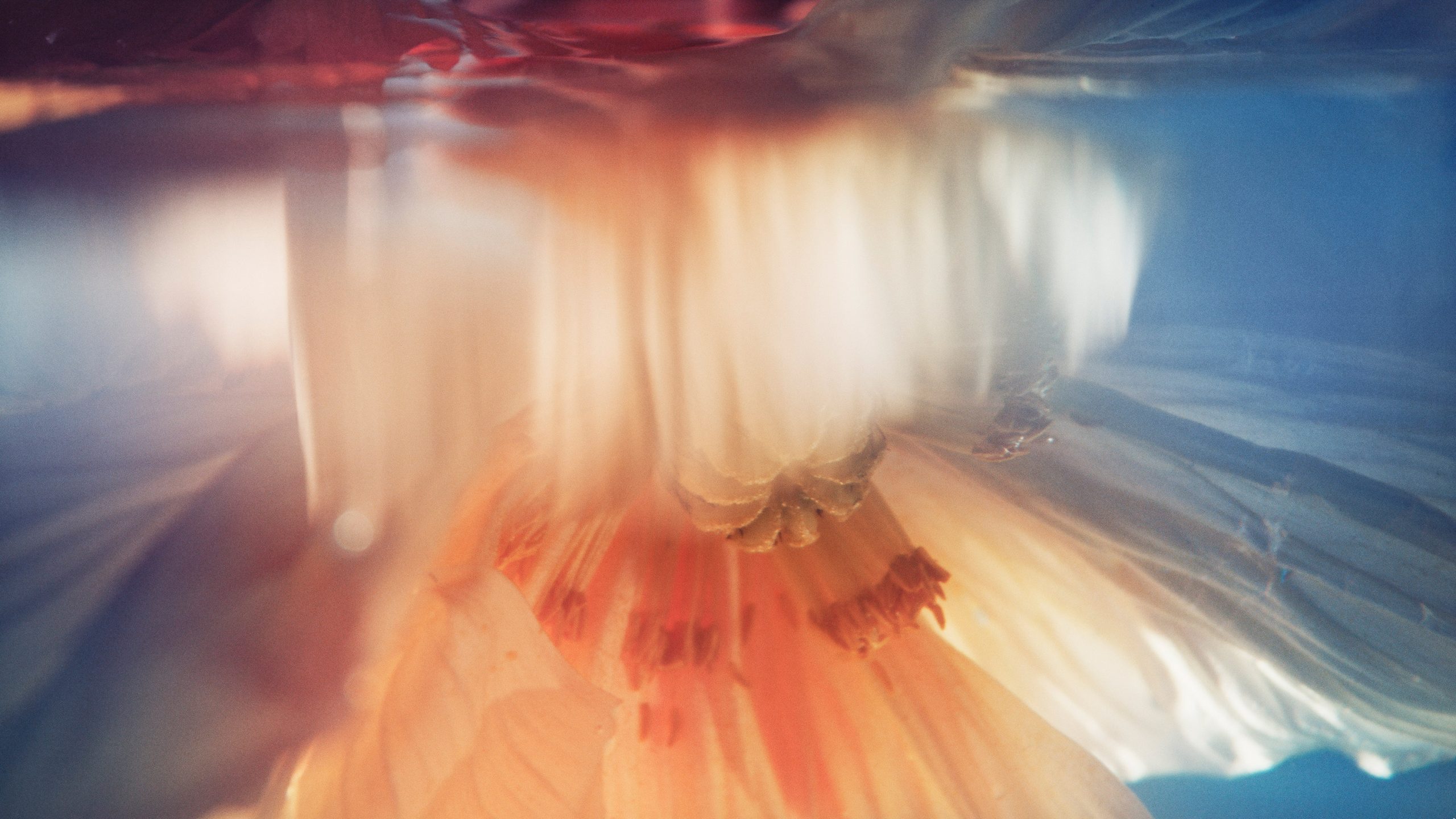 Kai-Uwe Gundlach - Duravit Flower