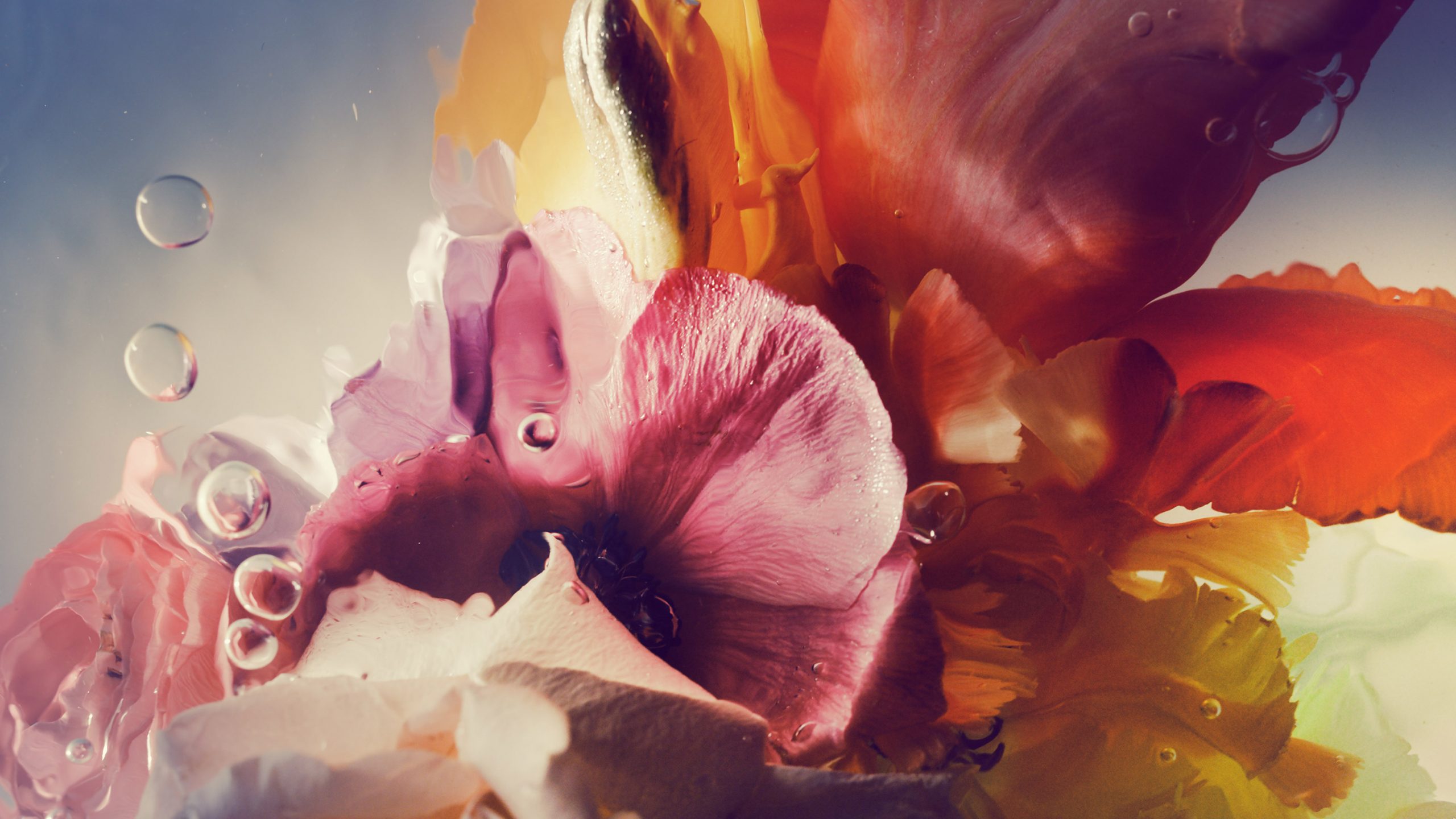 Kai-Uwe Gundlach - Duravit Flower