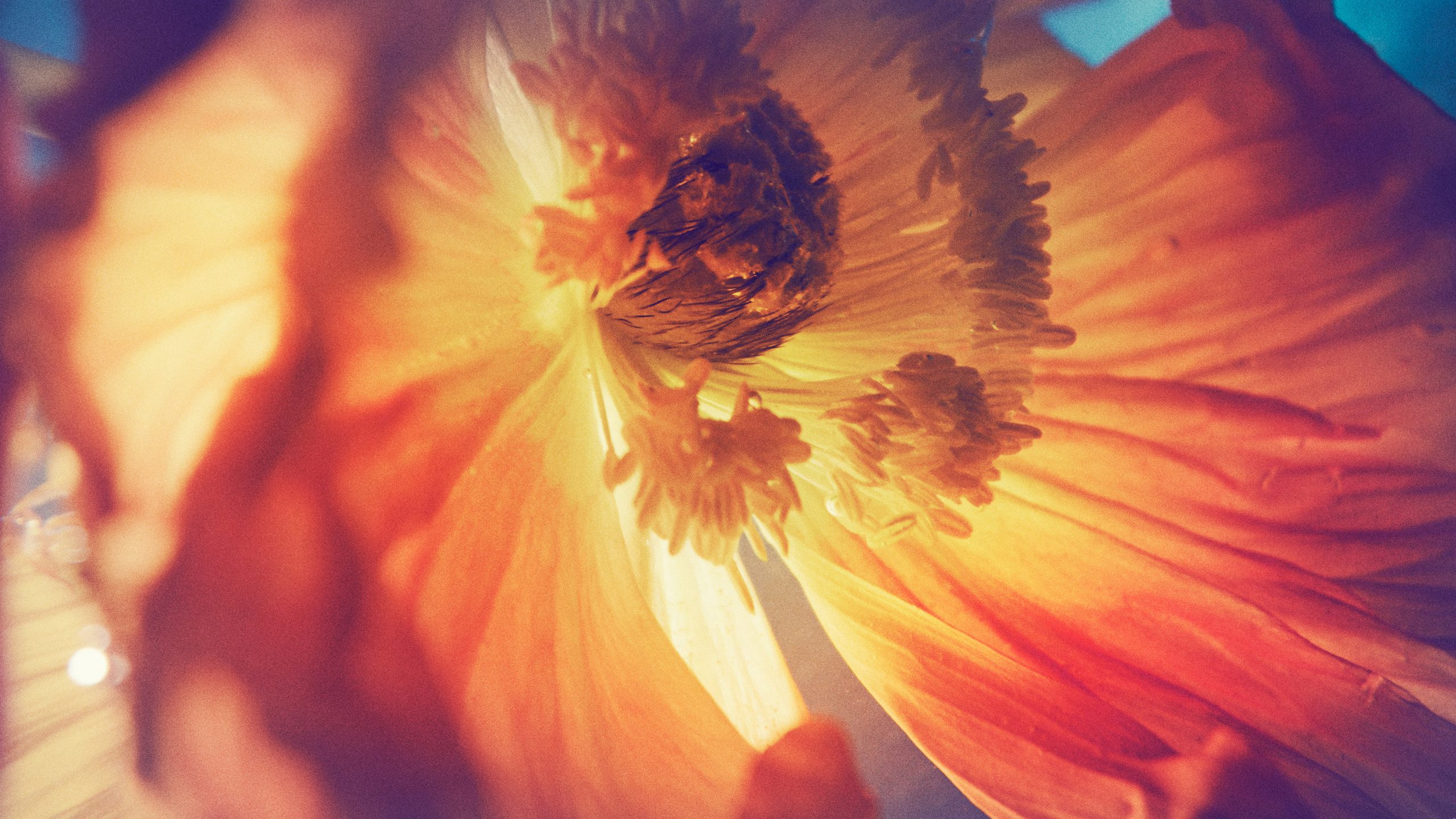 Kai-Uwe Gundlach - Duravit Flower