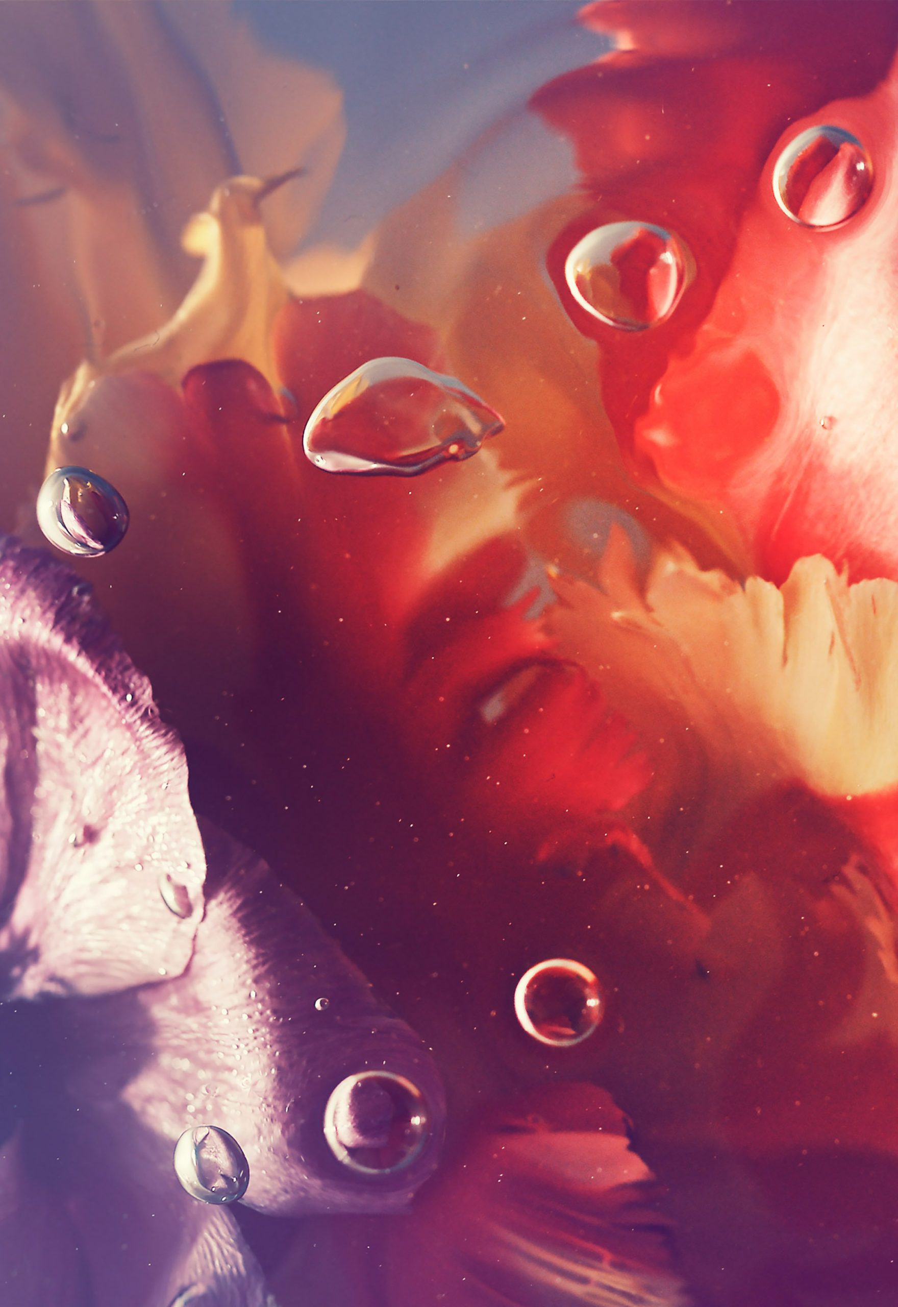 Kai-Uwe Gundlach - Duravit Flower